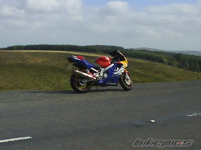 Photo 1336394