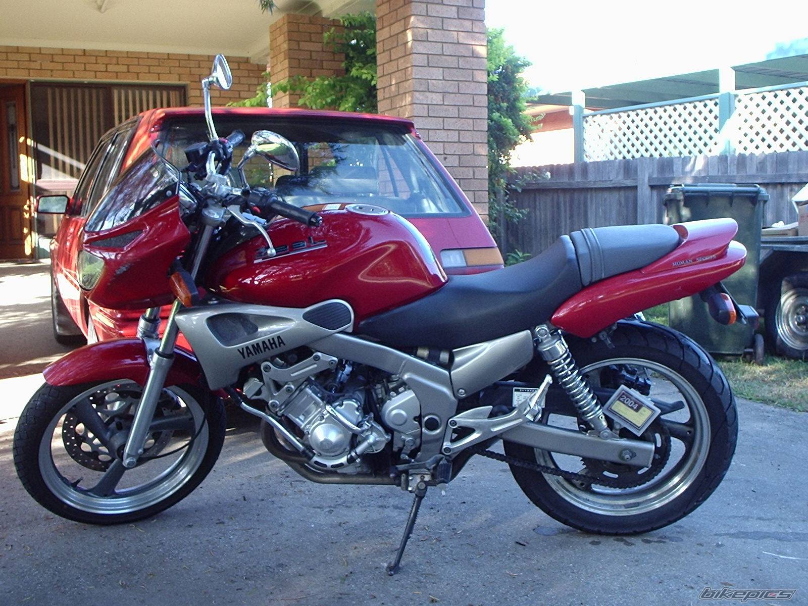 Photo 133641