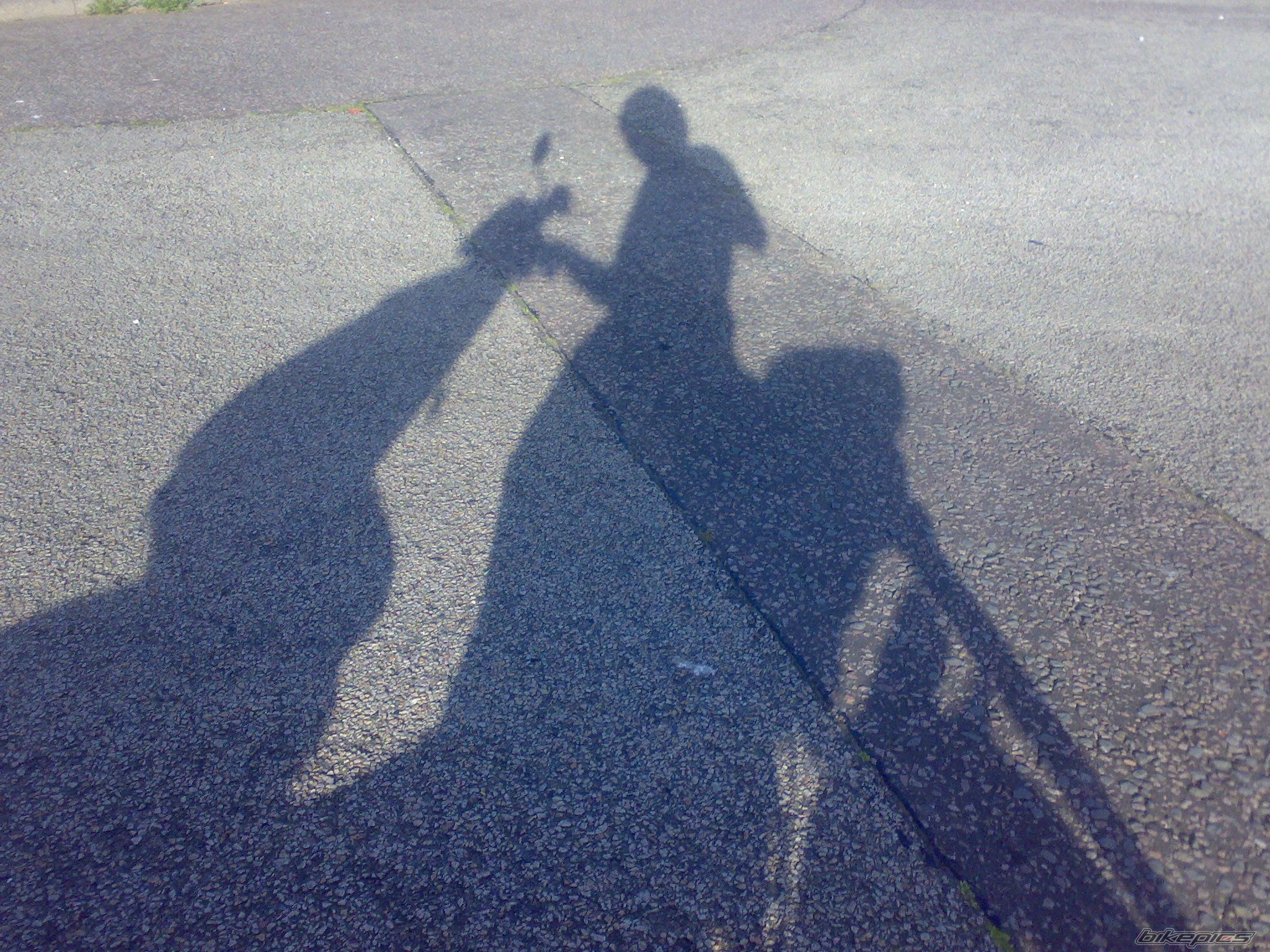 Photo 1336412