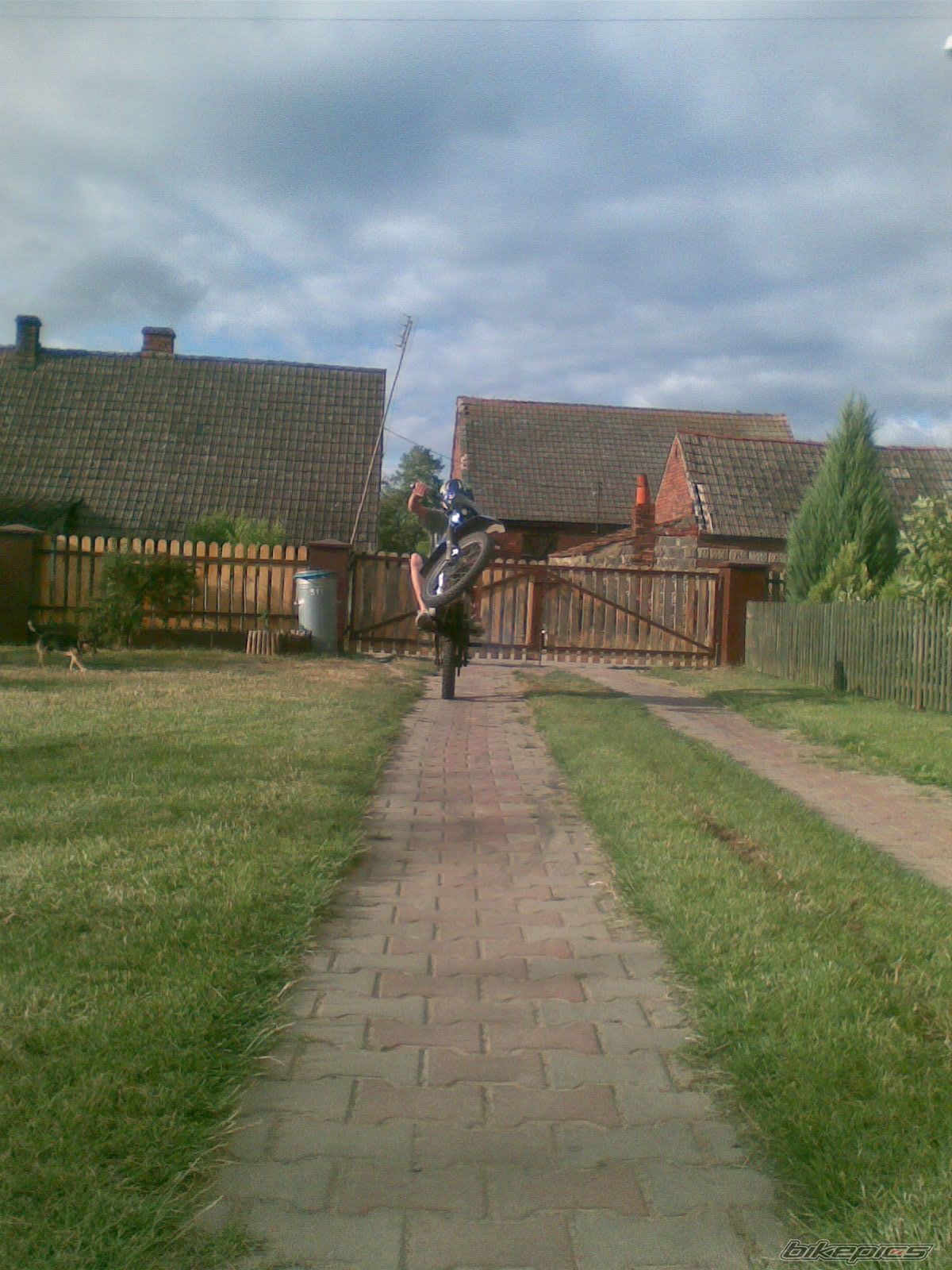 Photo 1336419