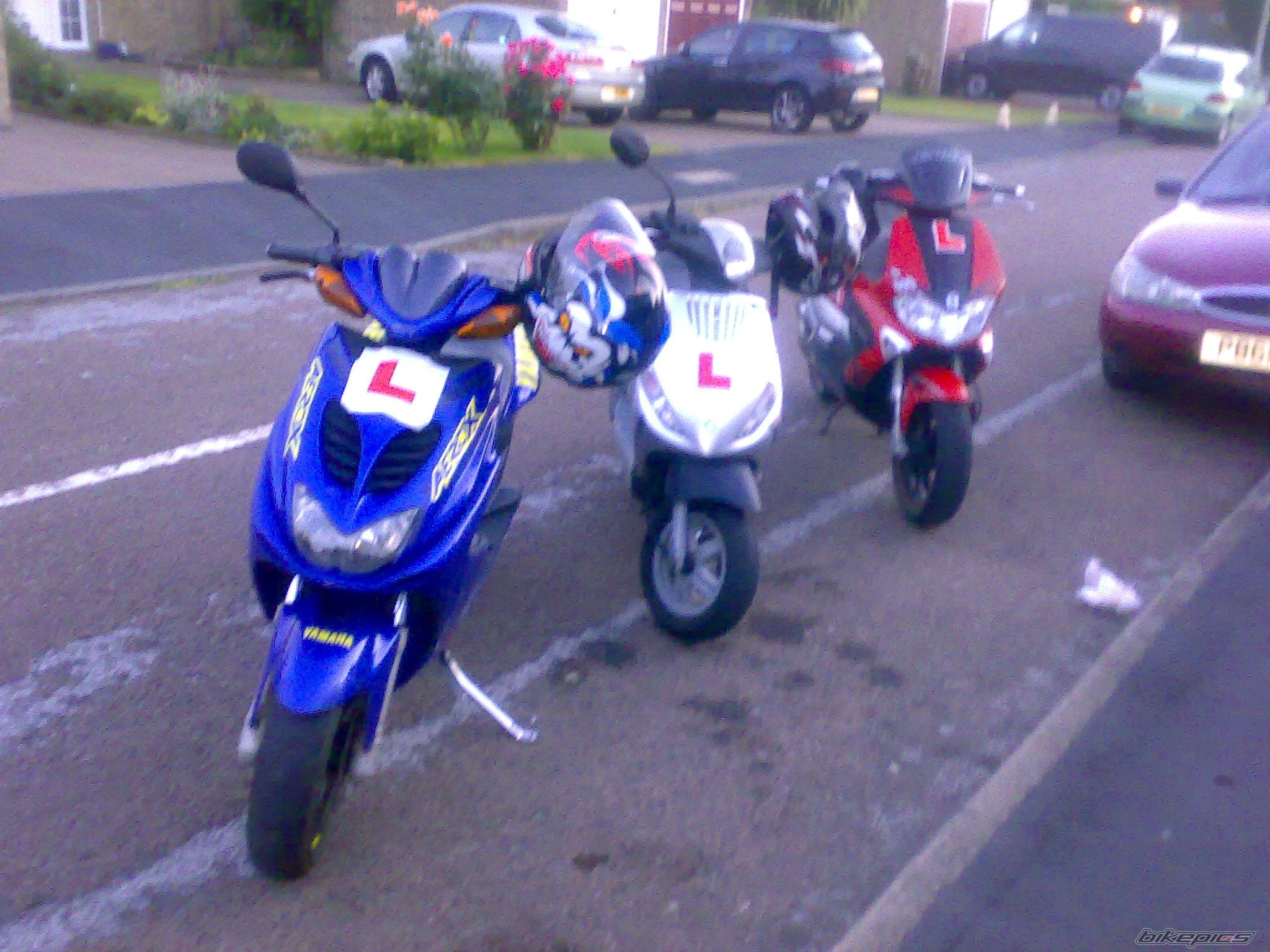 Photo 1336422