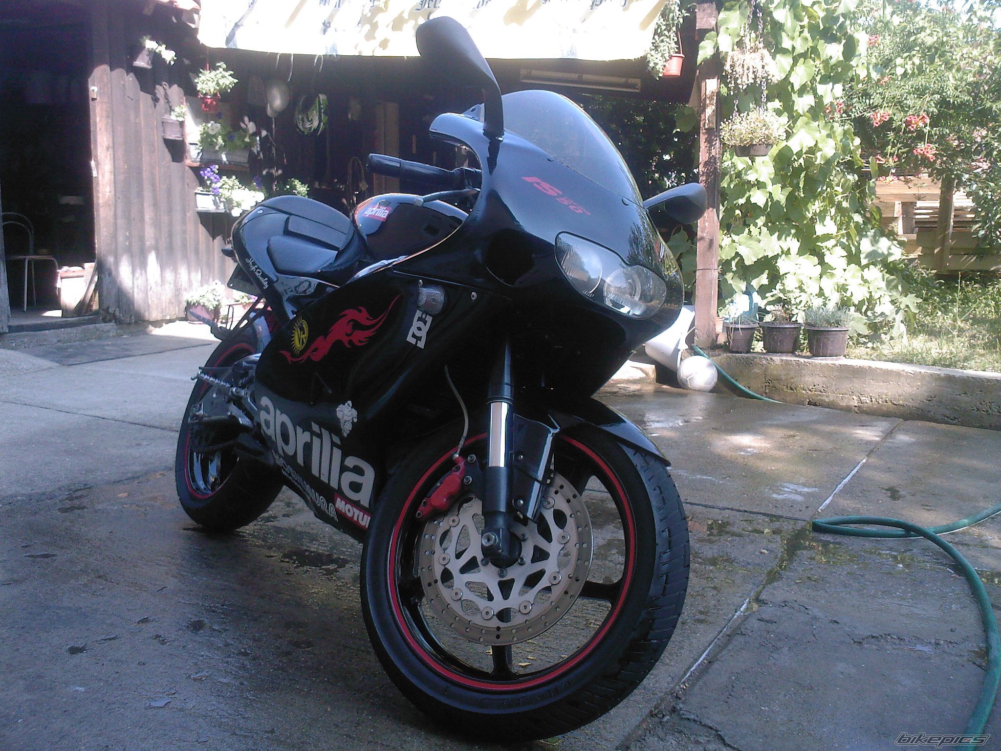 Photo 1336428