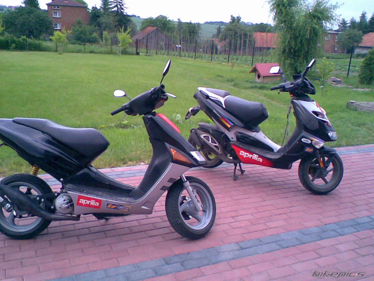 Photo 1336493