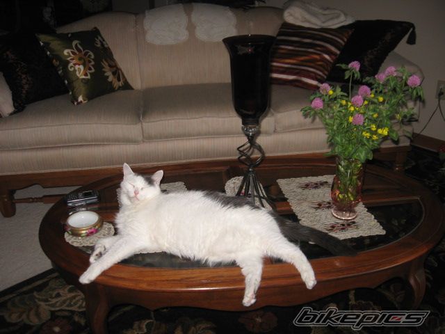 Photo 1336658