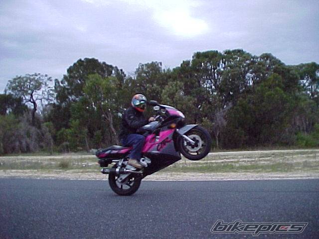 Photo 133671