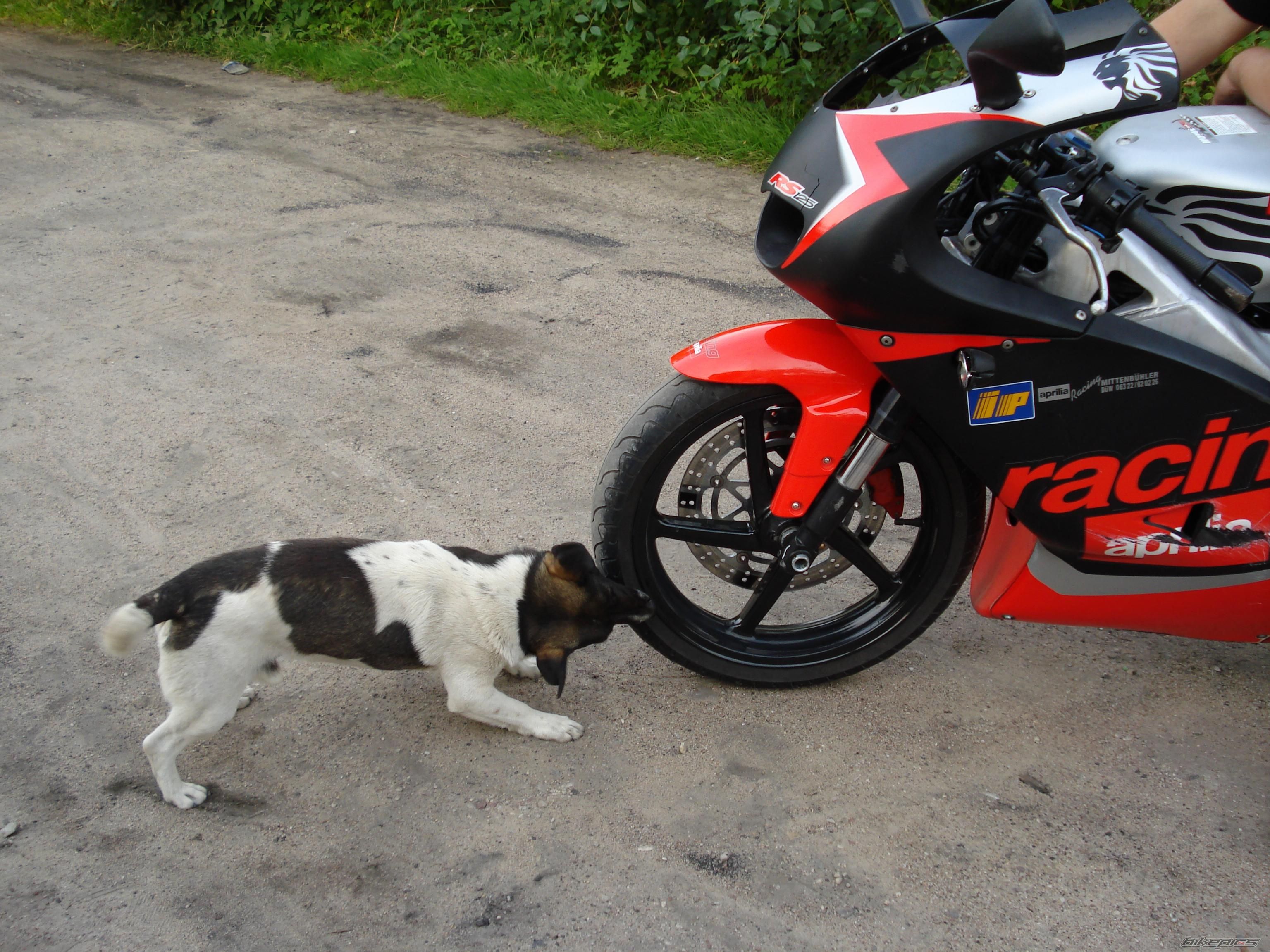 Bike Photo 1336964