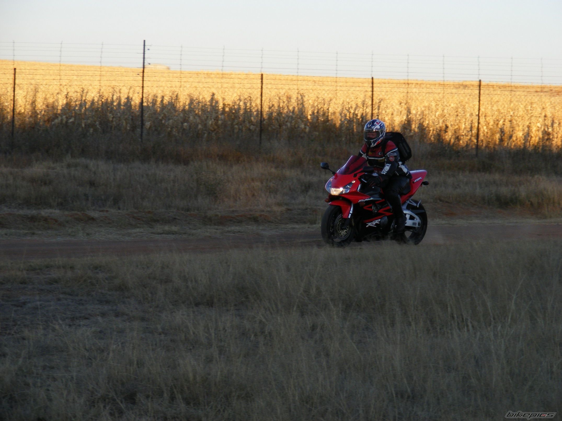 Photo 1336975