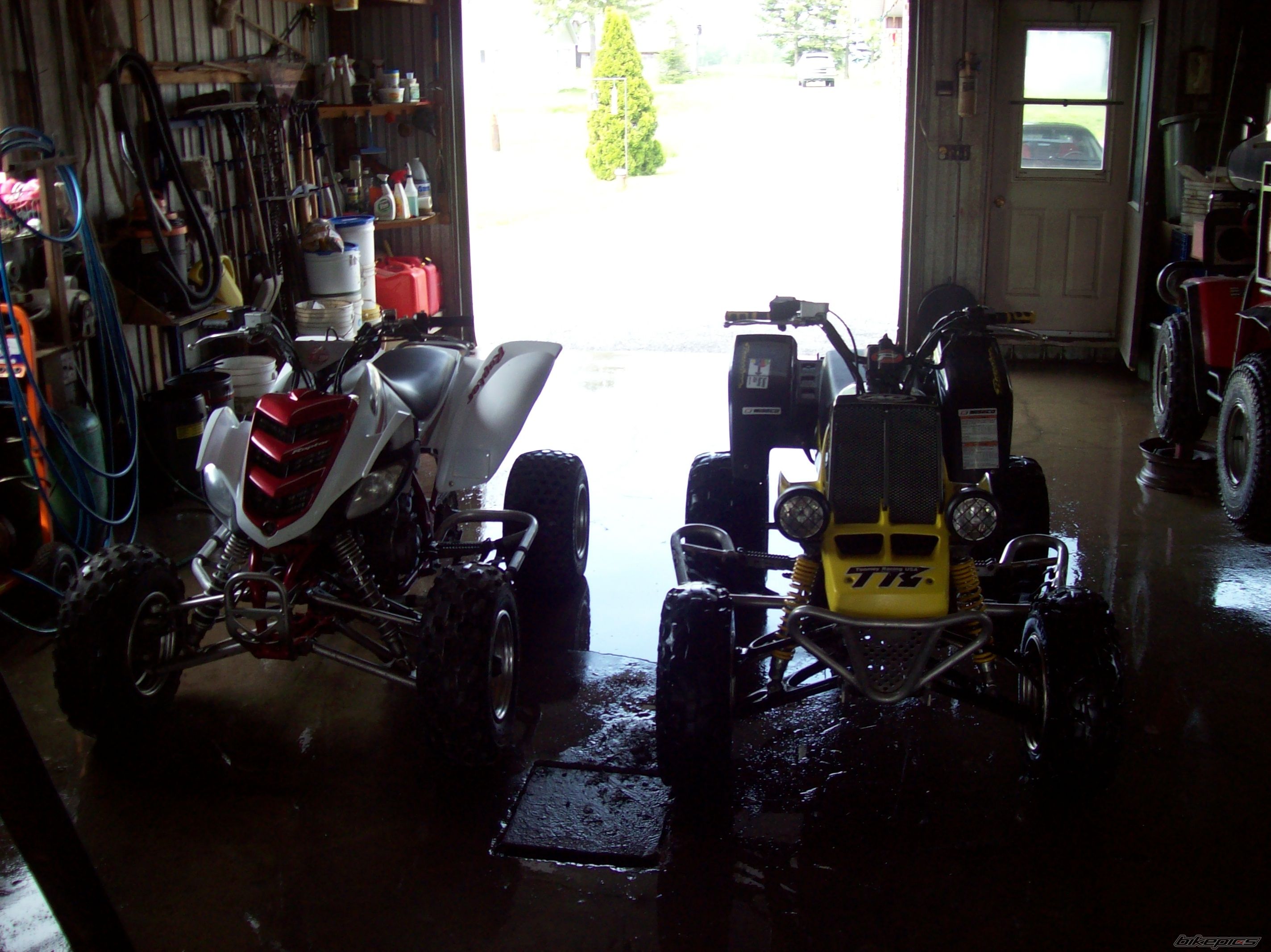 Photo 1336996