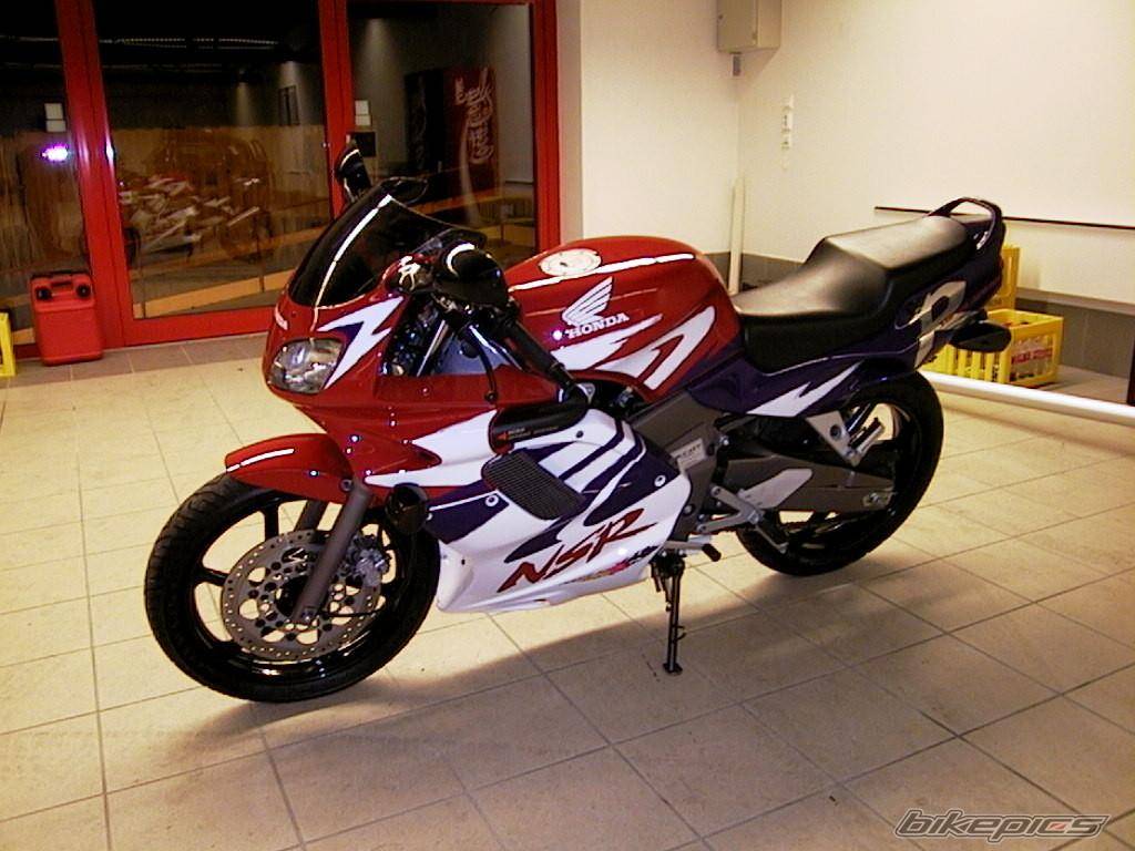 Photo 1337