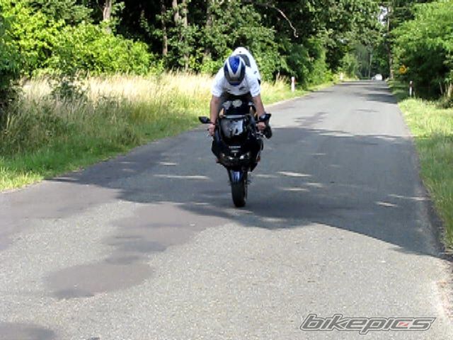Photo 1337036