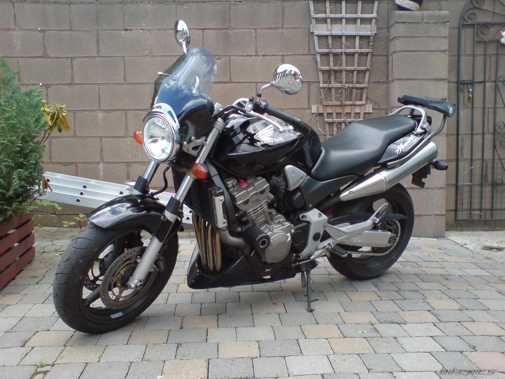 Photo 1337054