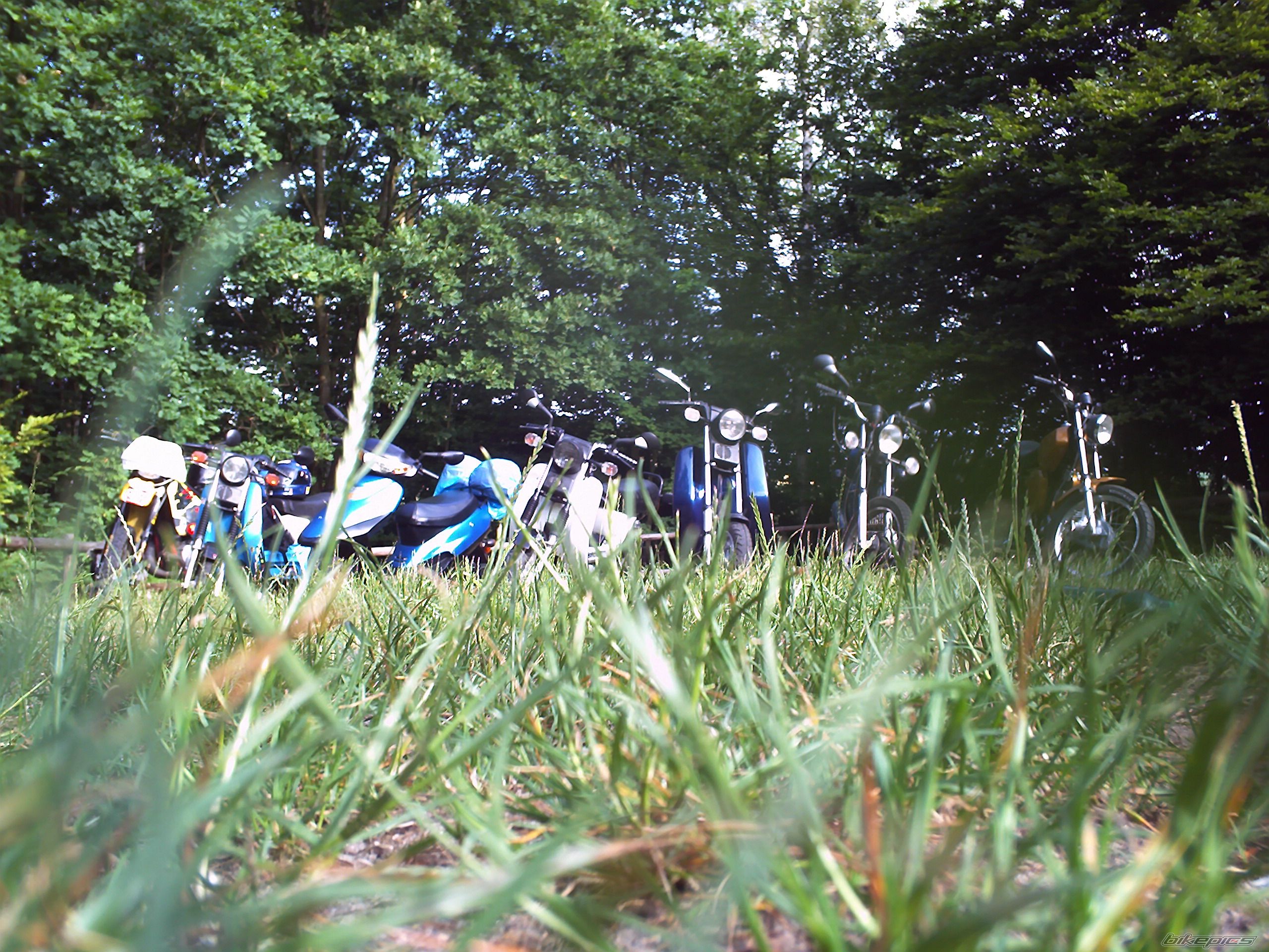 Photo 1337161