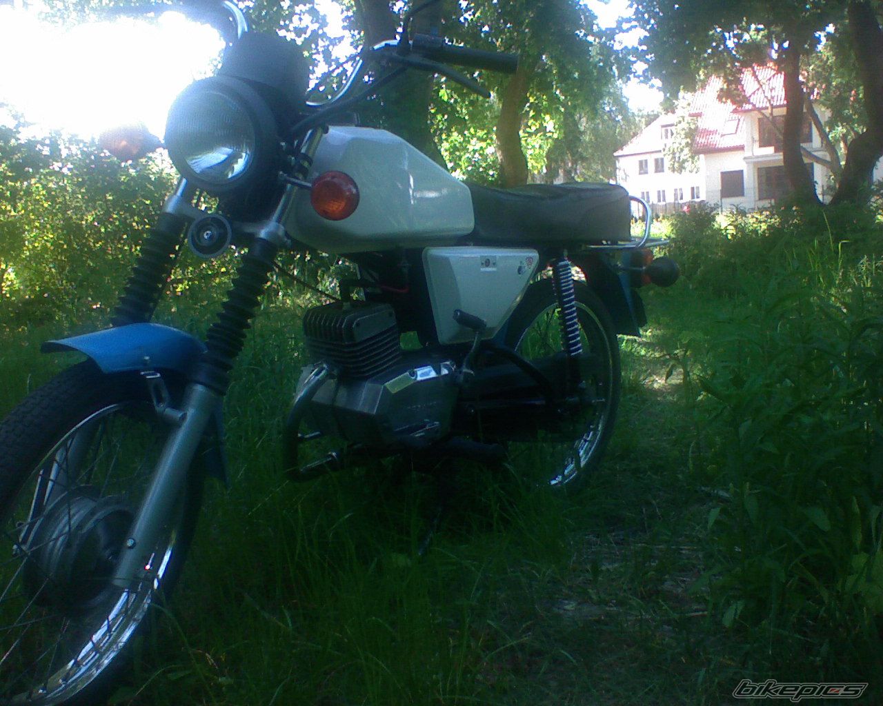 Photo 1337169