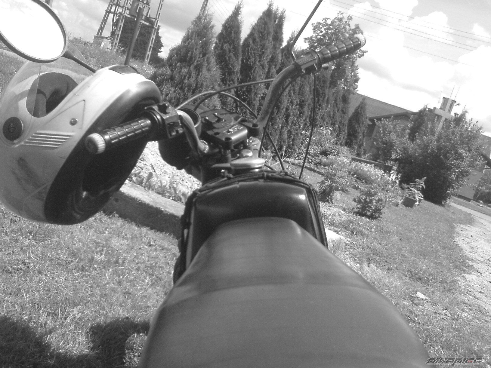 Photo 1337353