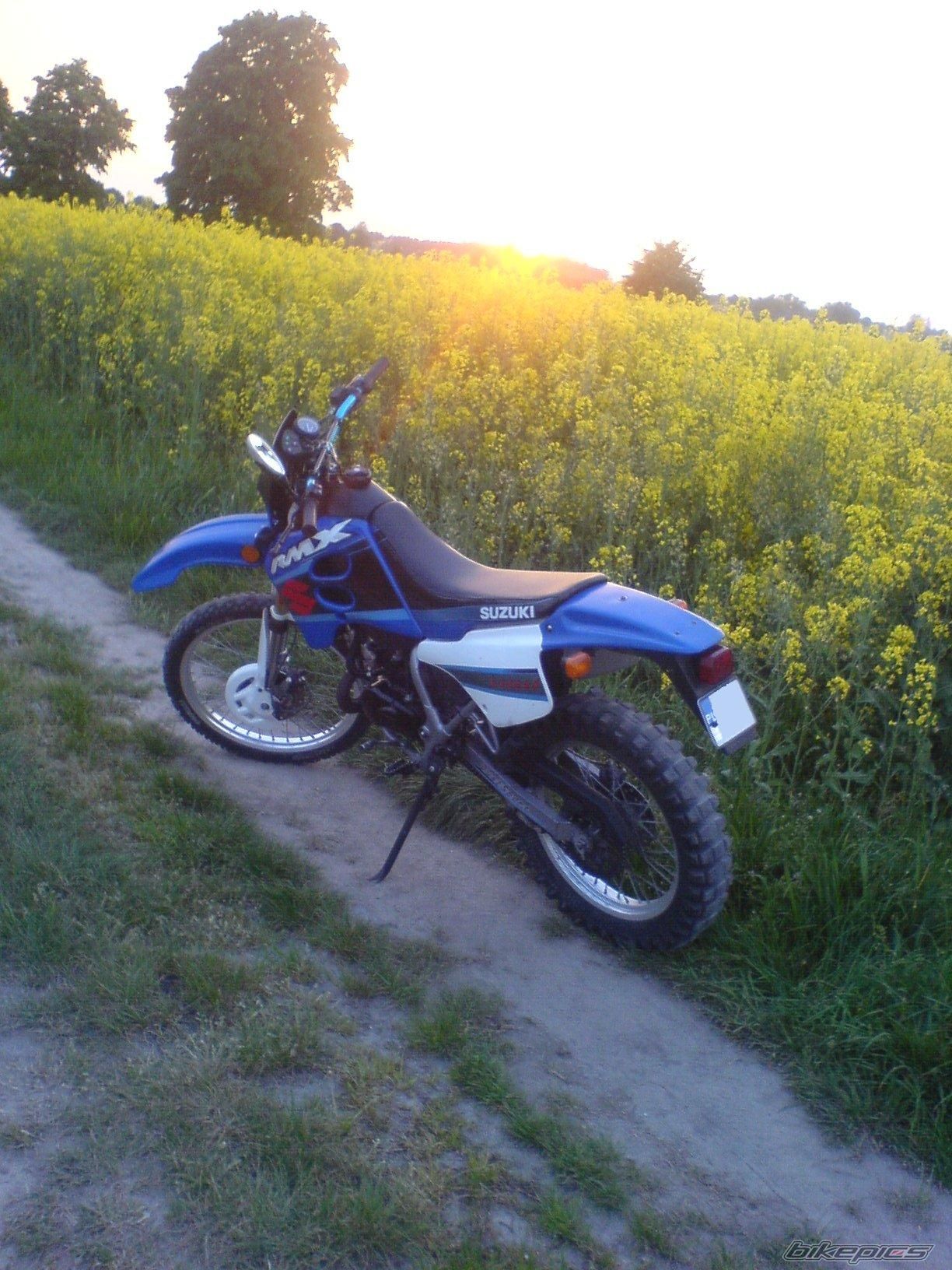 Photo 1337392