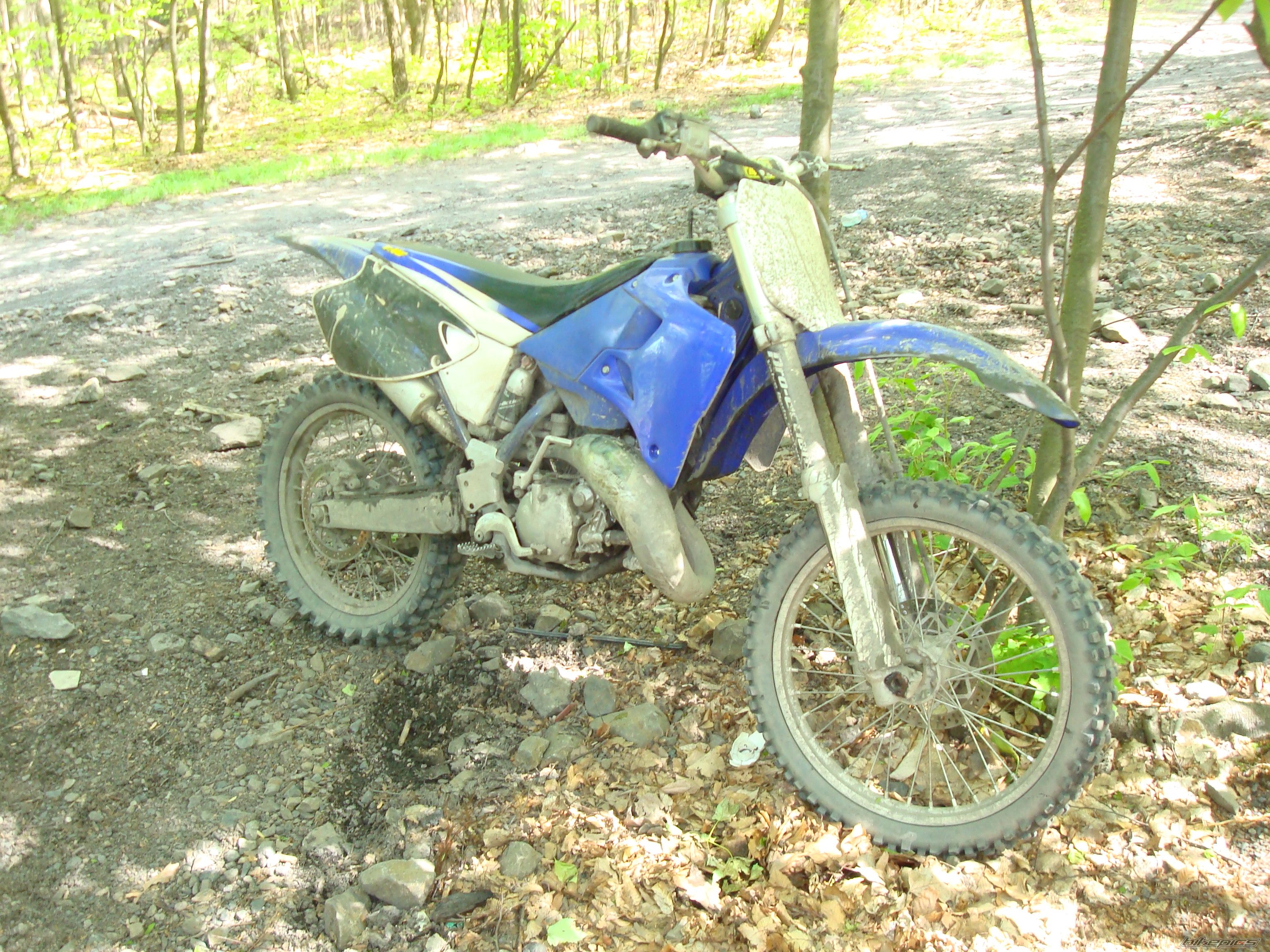 Photo 1337394