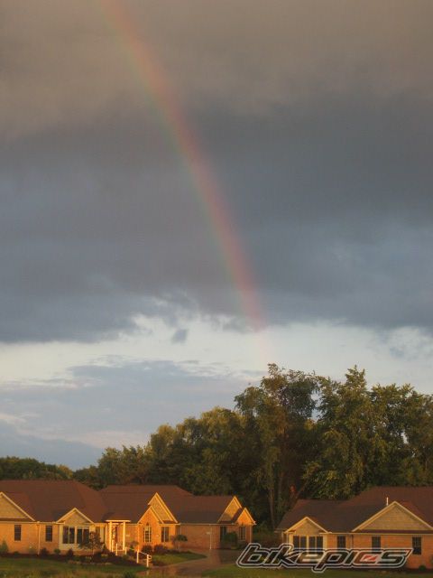 Photo 1337434