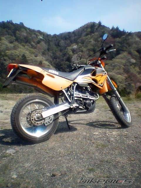 Photo 133744