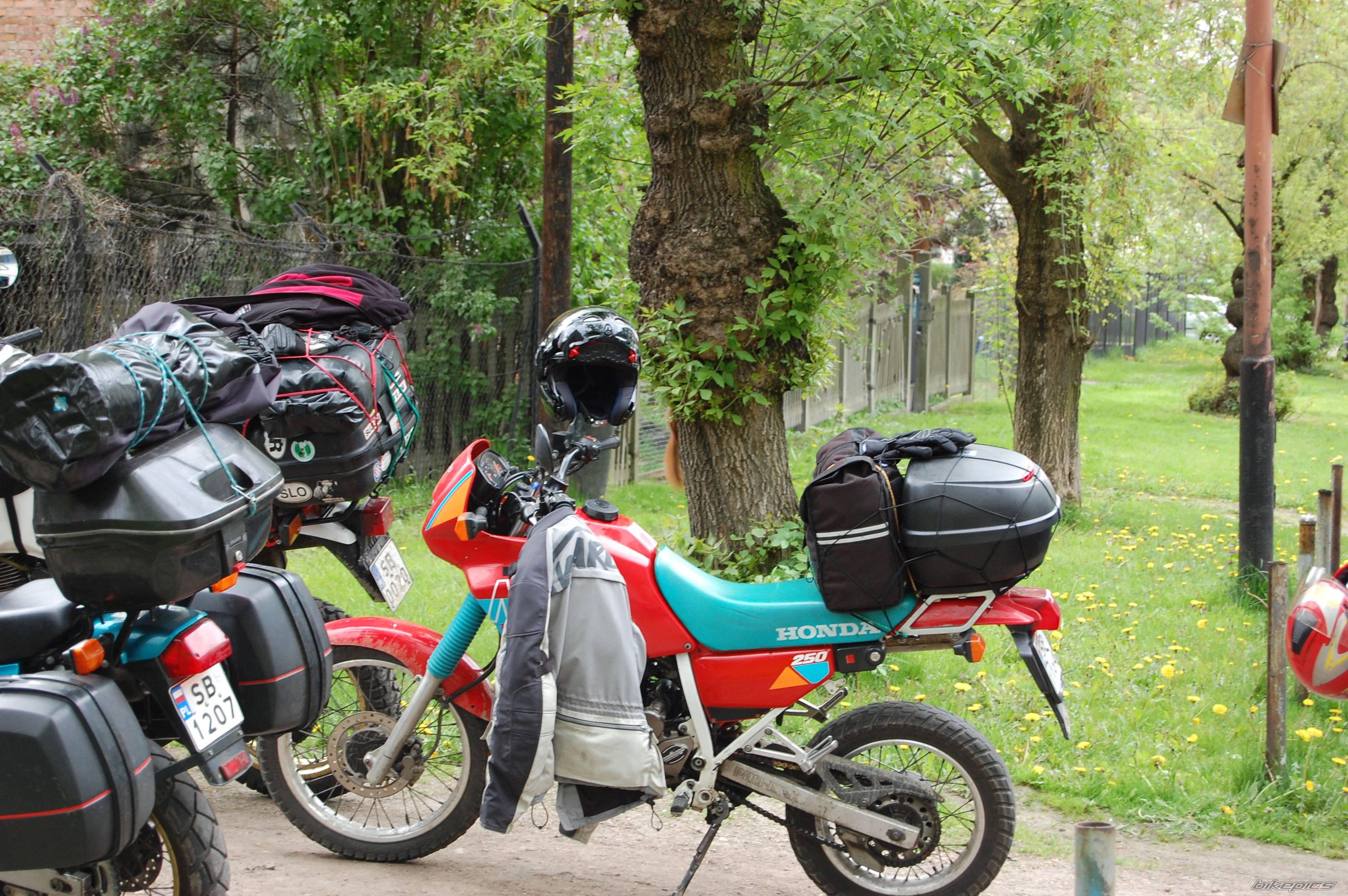 Bike Photo 1337550