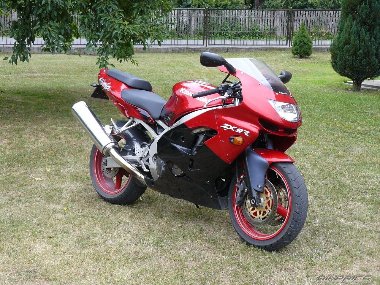 Bike Photo 1337556