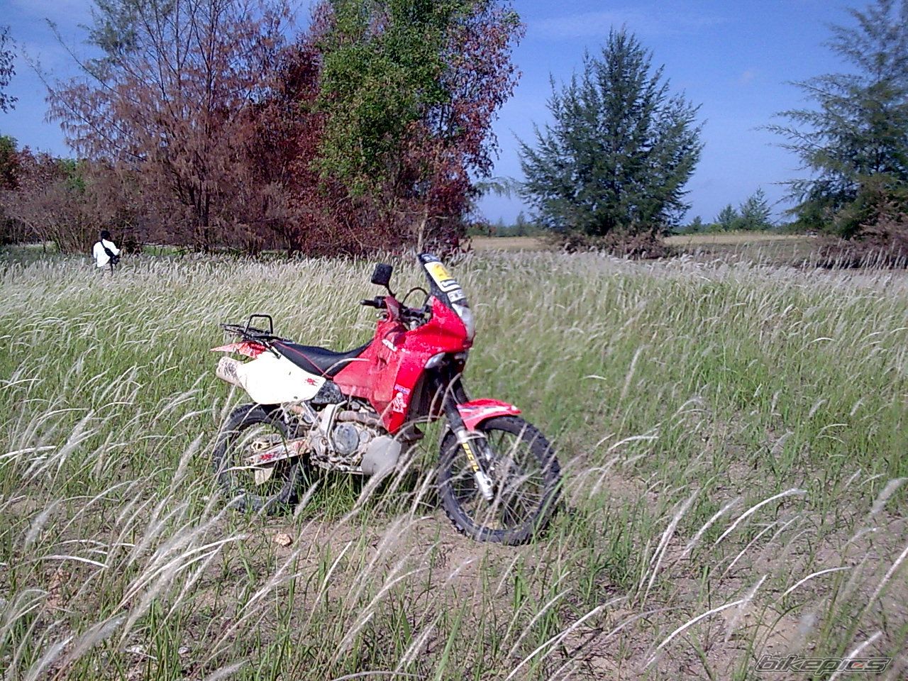 Photo 1337598