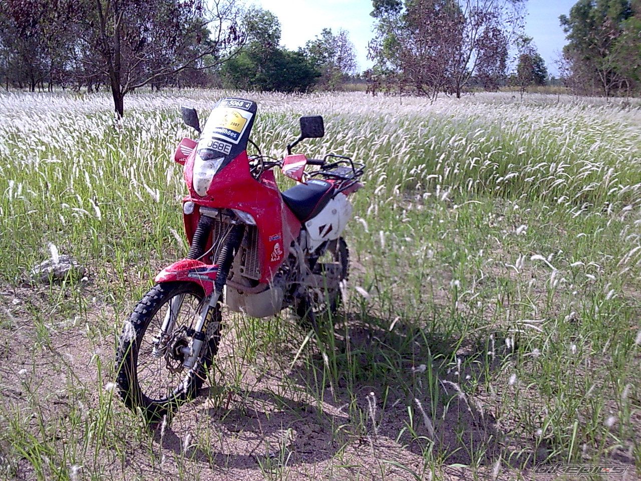 Bike Photo 1337599
