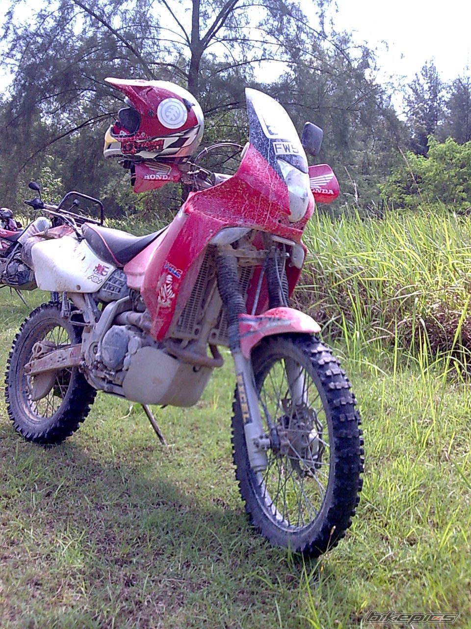 Photo 1337604
