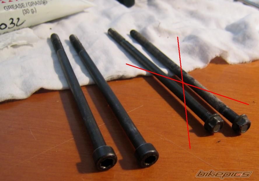 Photo 1337638