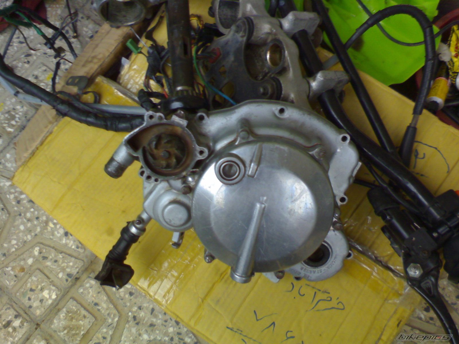 Photo 1337713