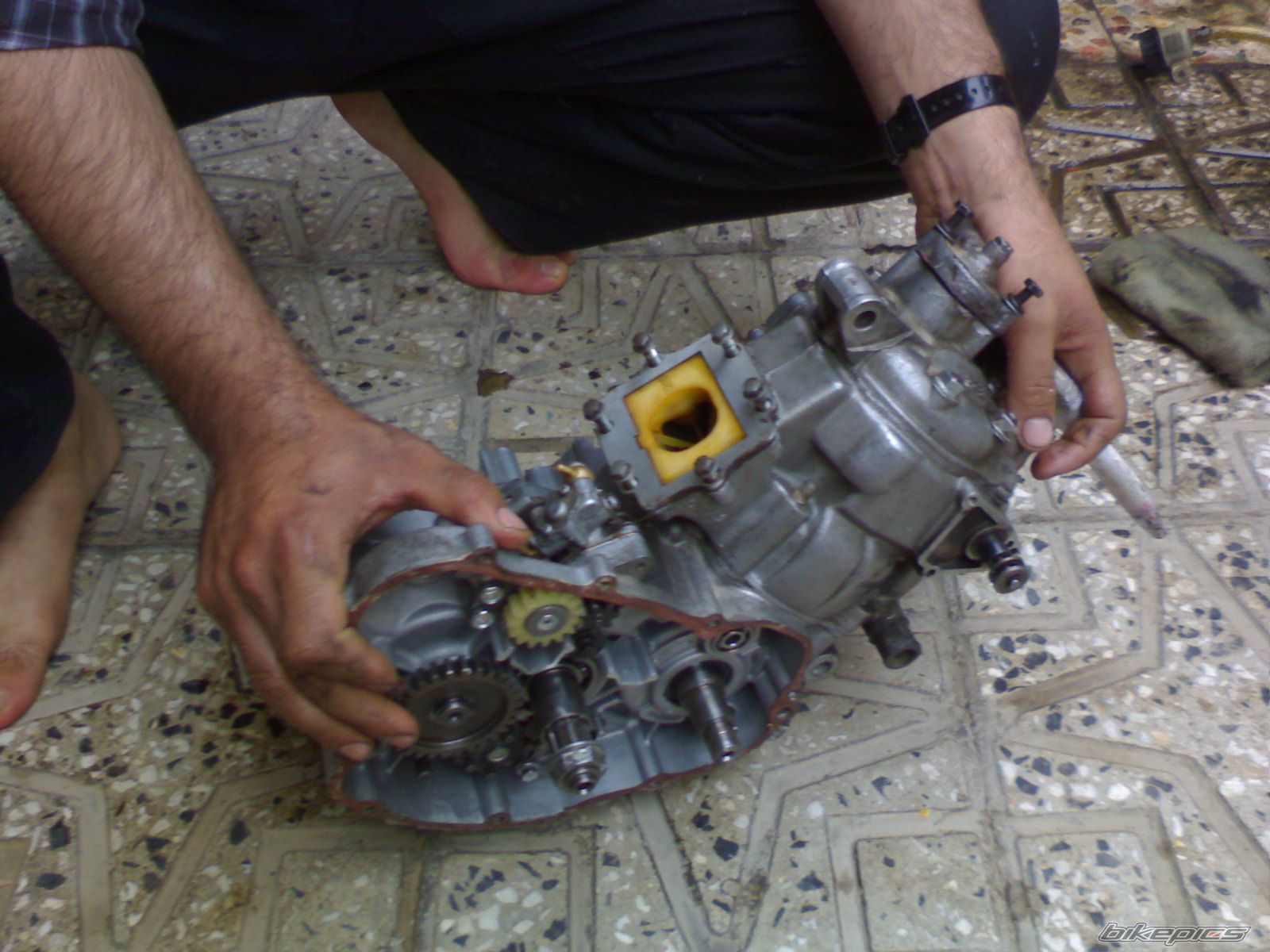 Photo 1337717