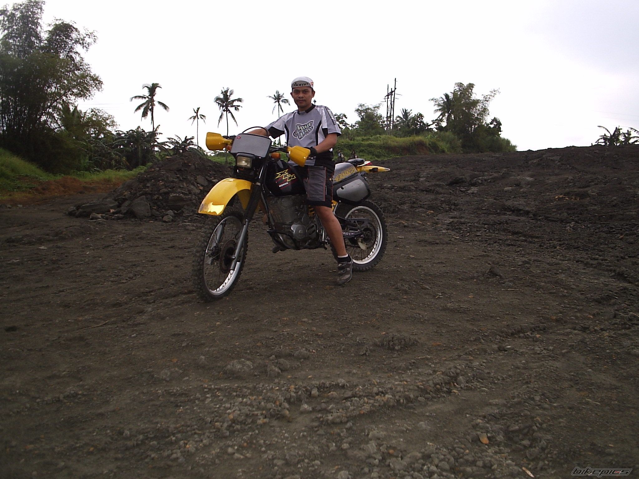 Photo 1337738