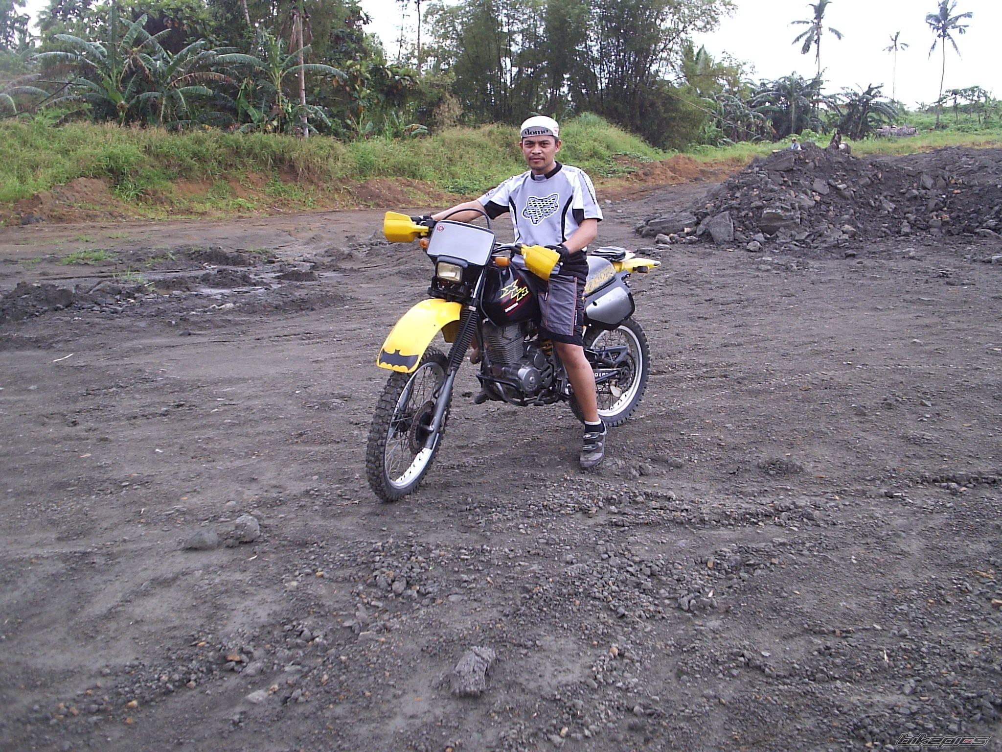Photo 1337739