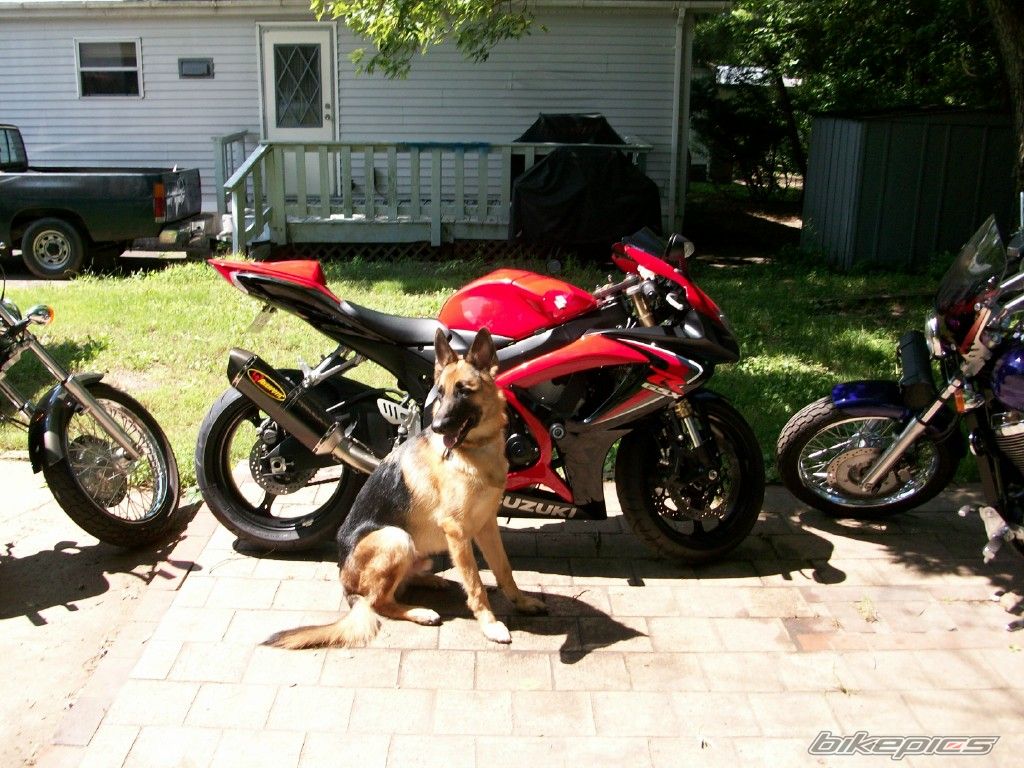 Photo 1337741