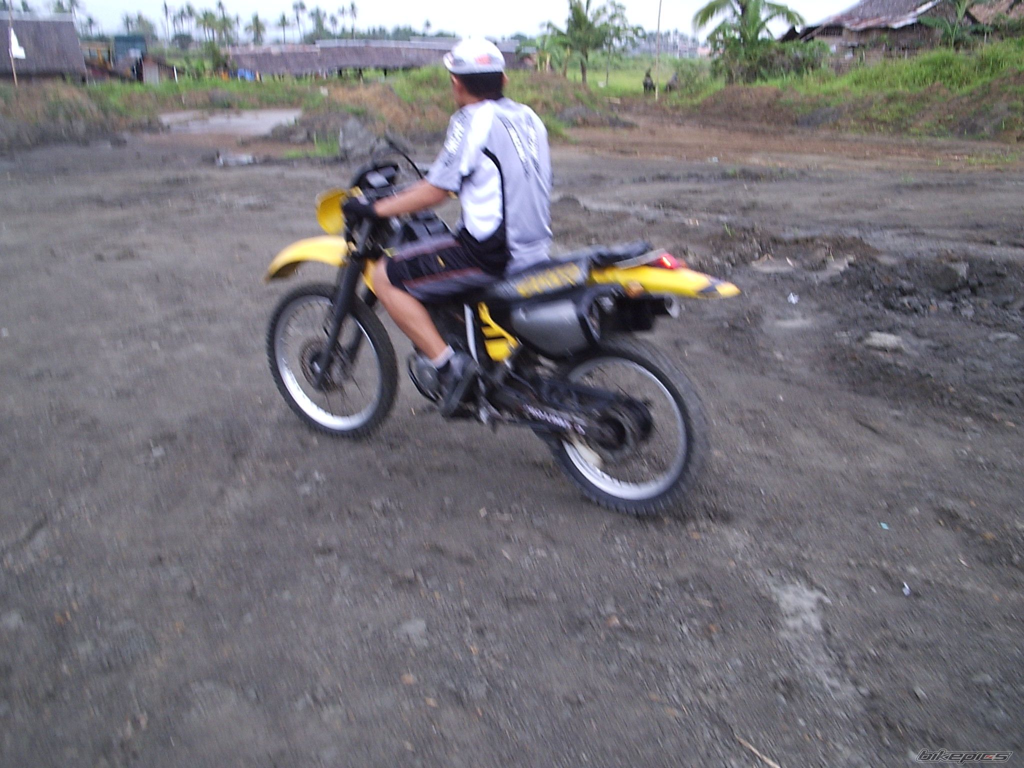 Photo 1337744