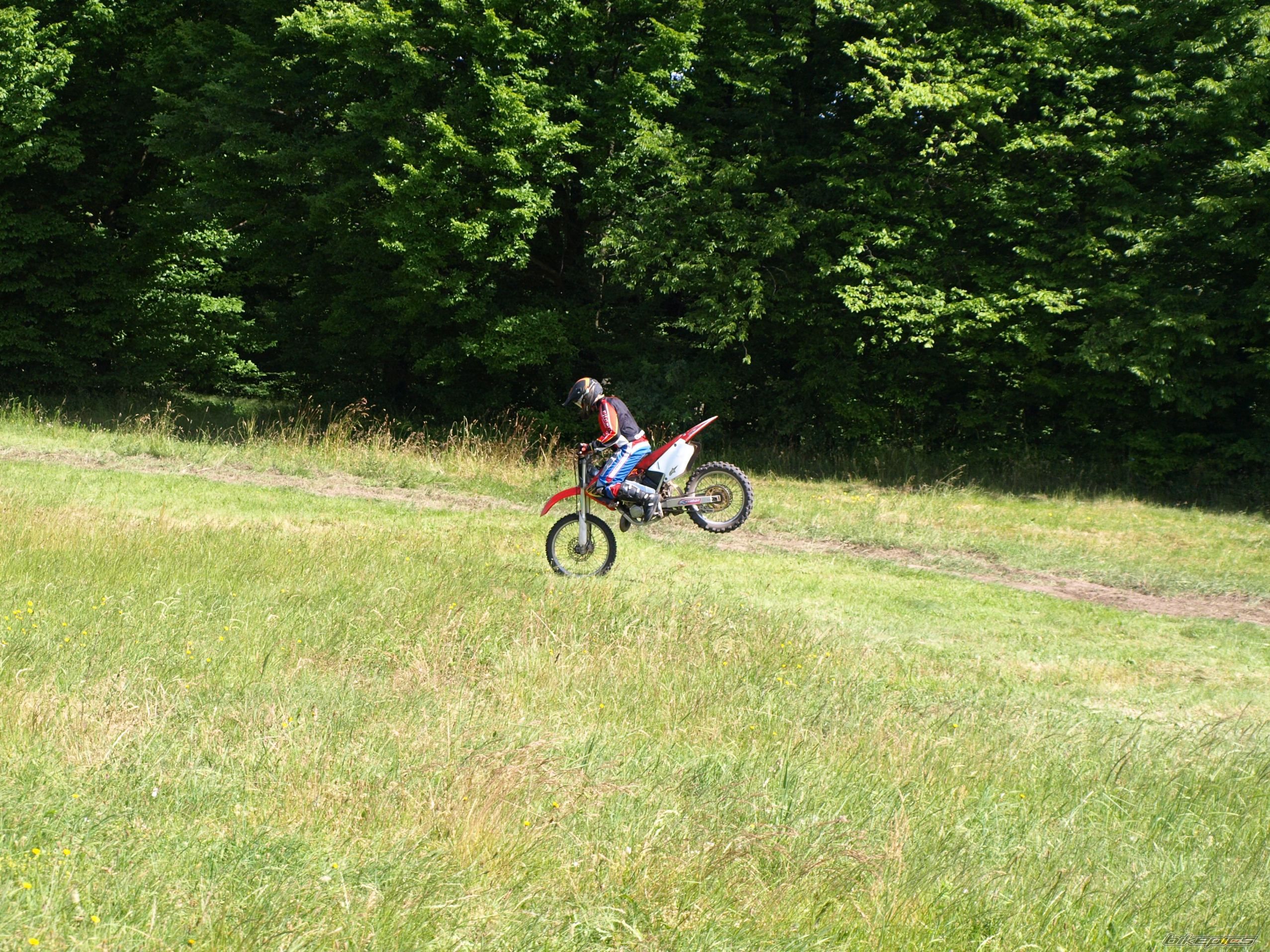 Photo 1337749