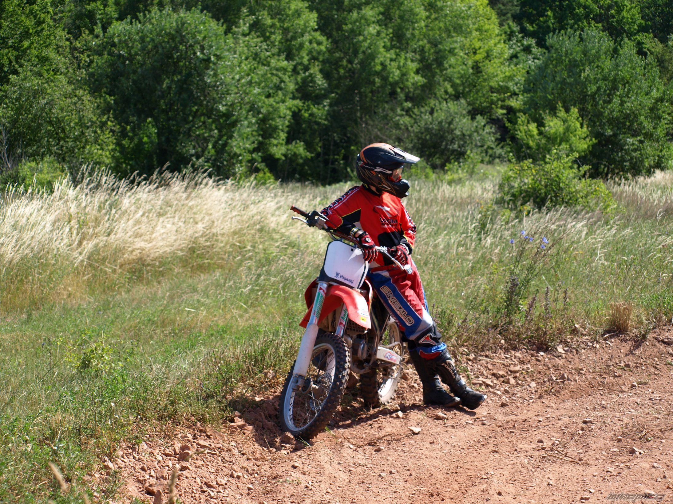 Photo 1337752
