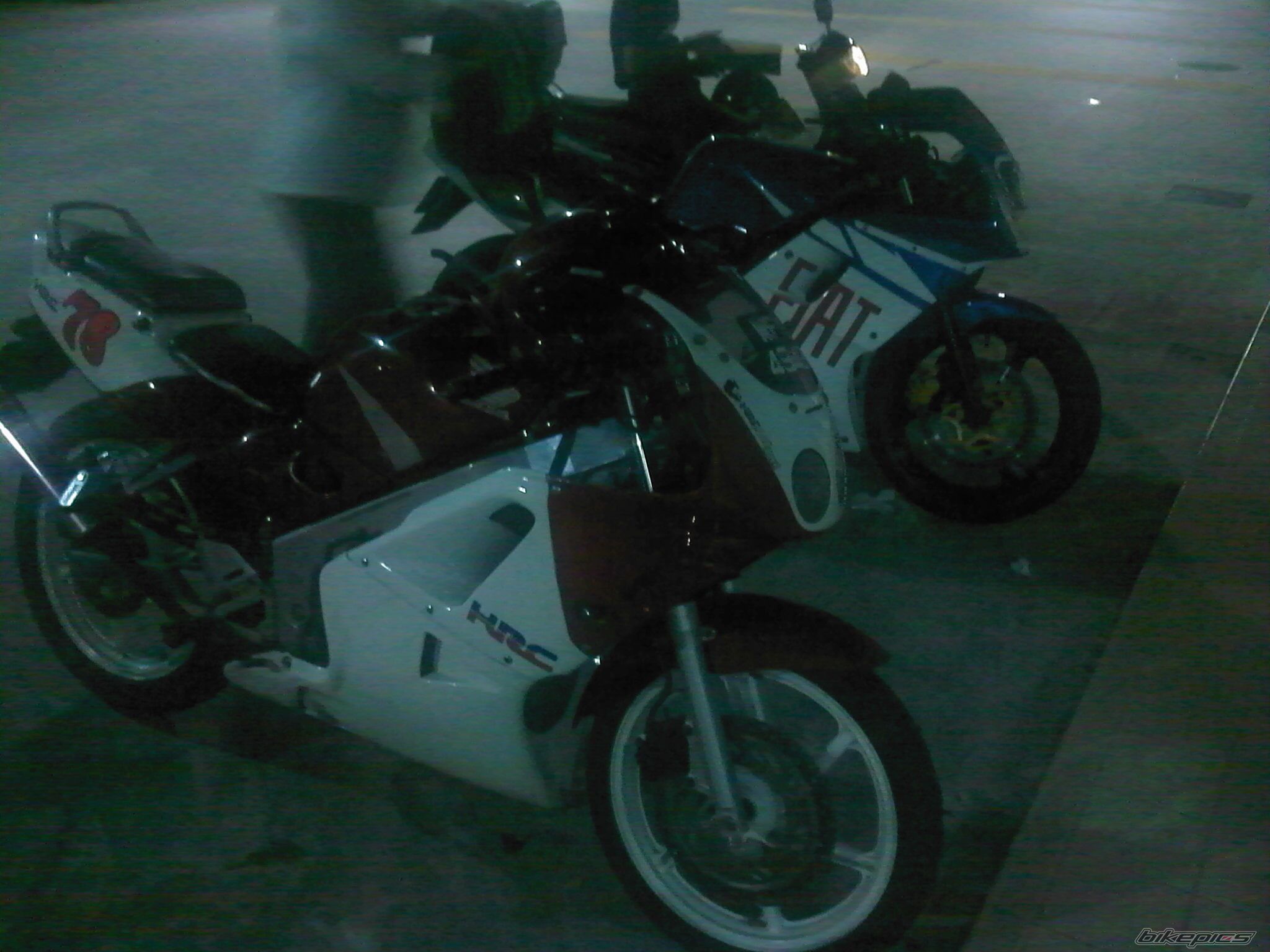 Photo 1337814