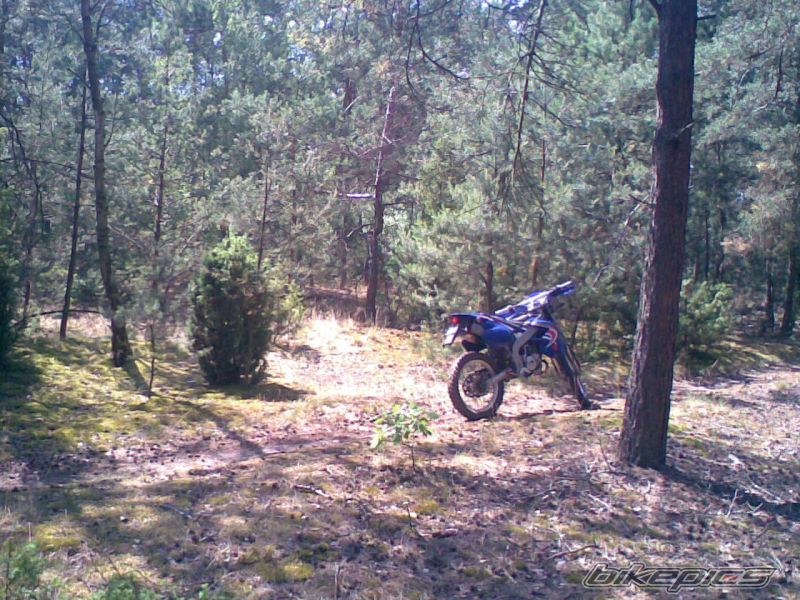 Photo 1337825