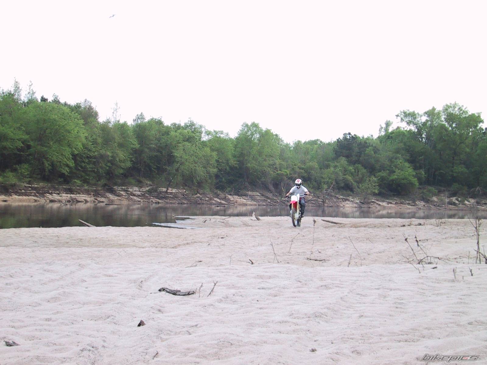 Photo 133786