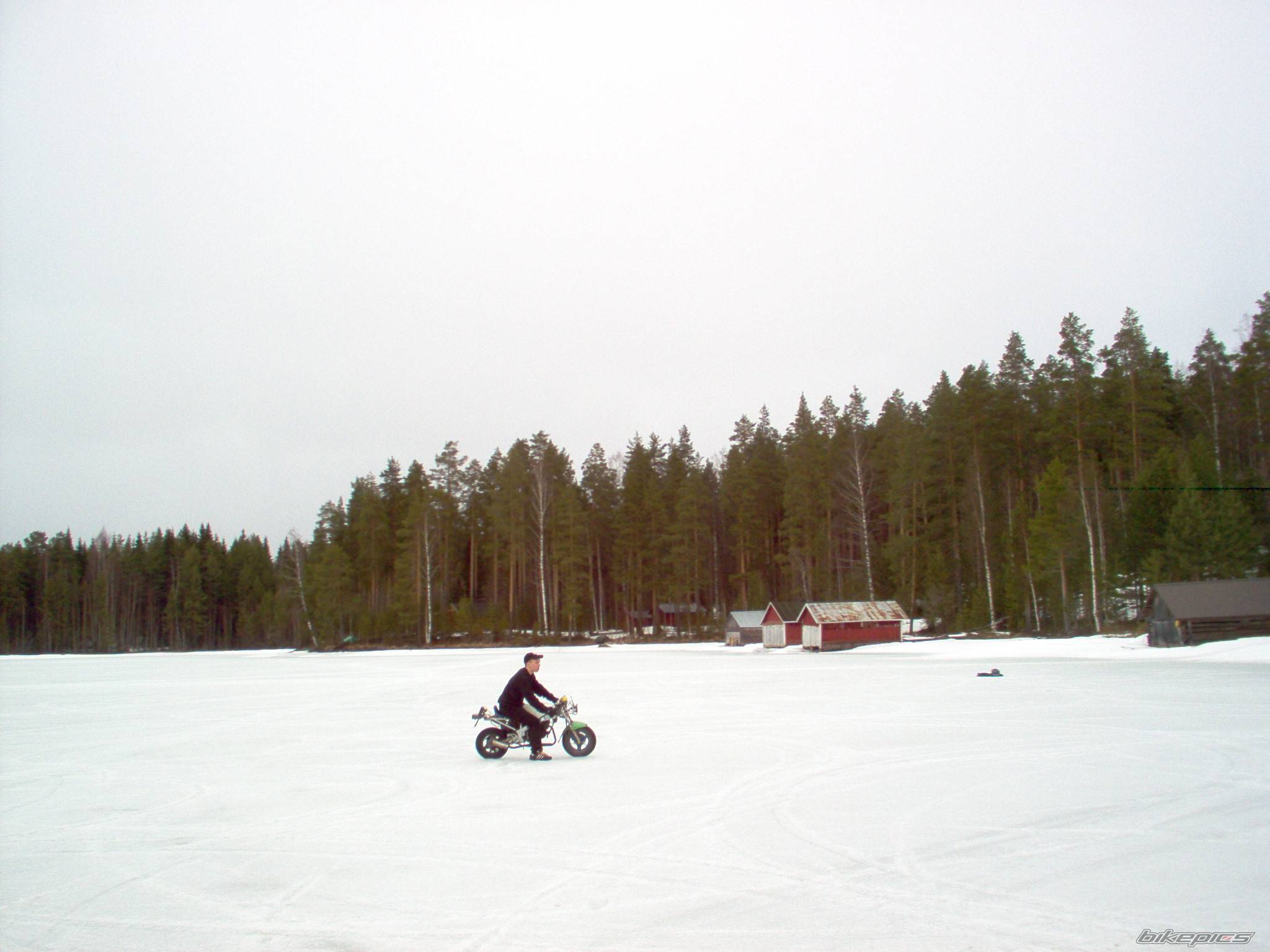 Photo 133787