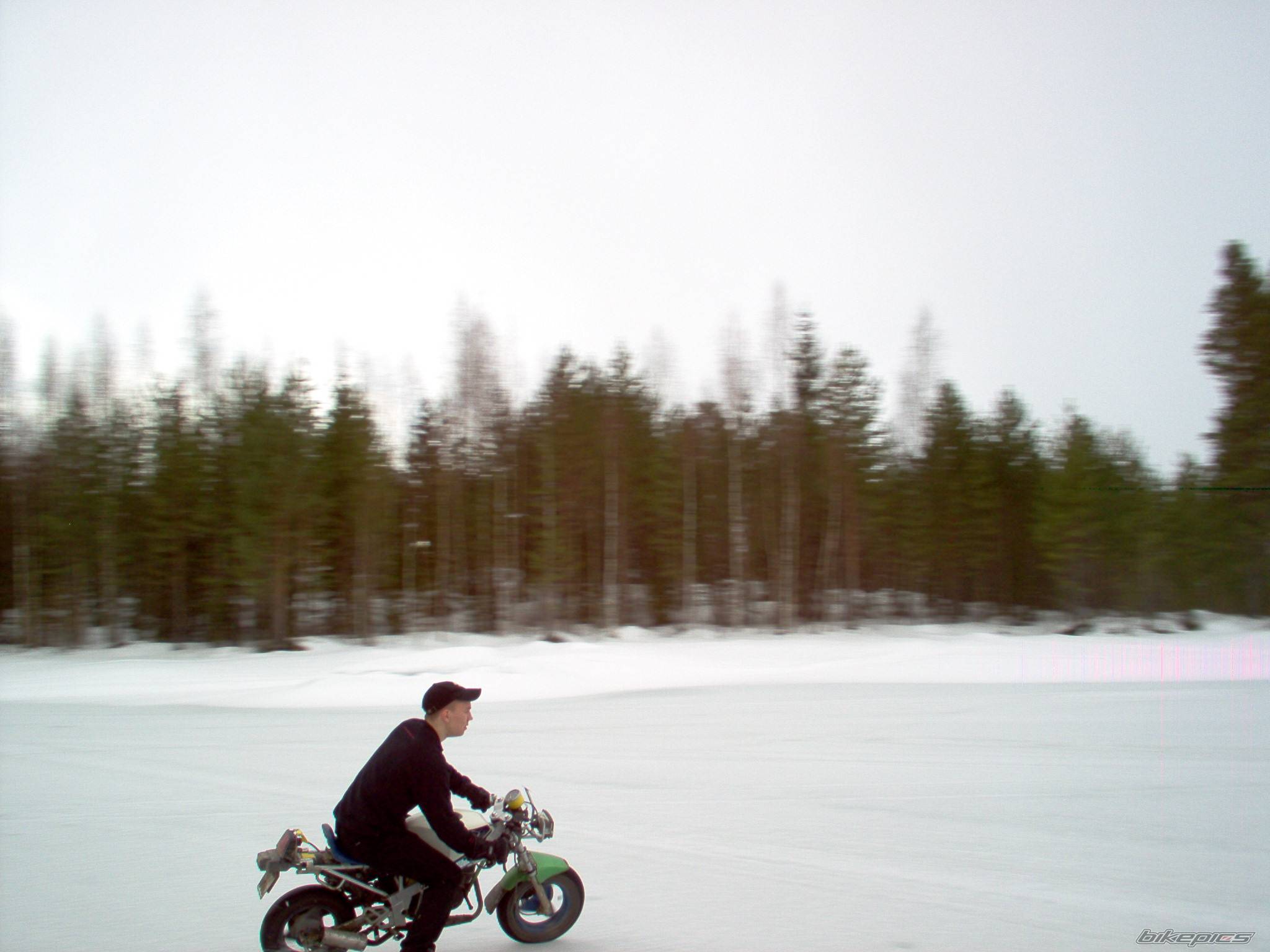 Photo 133788