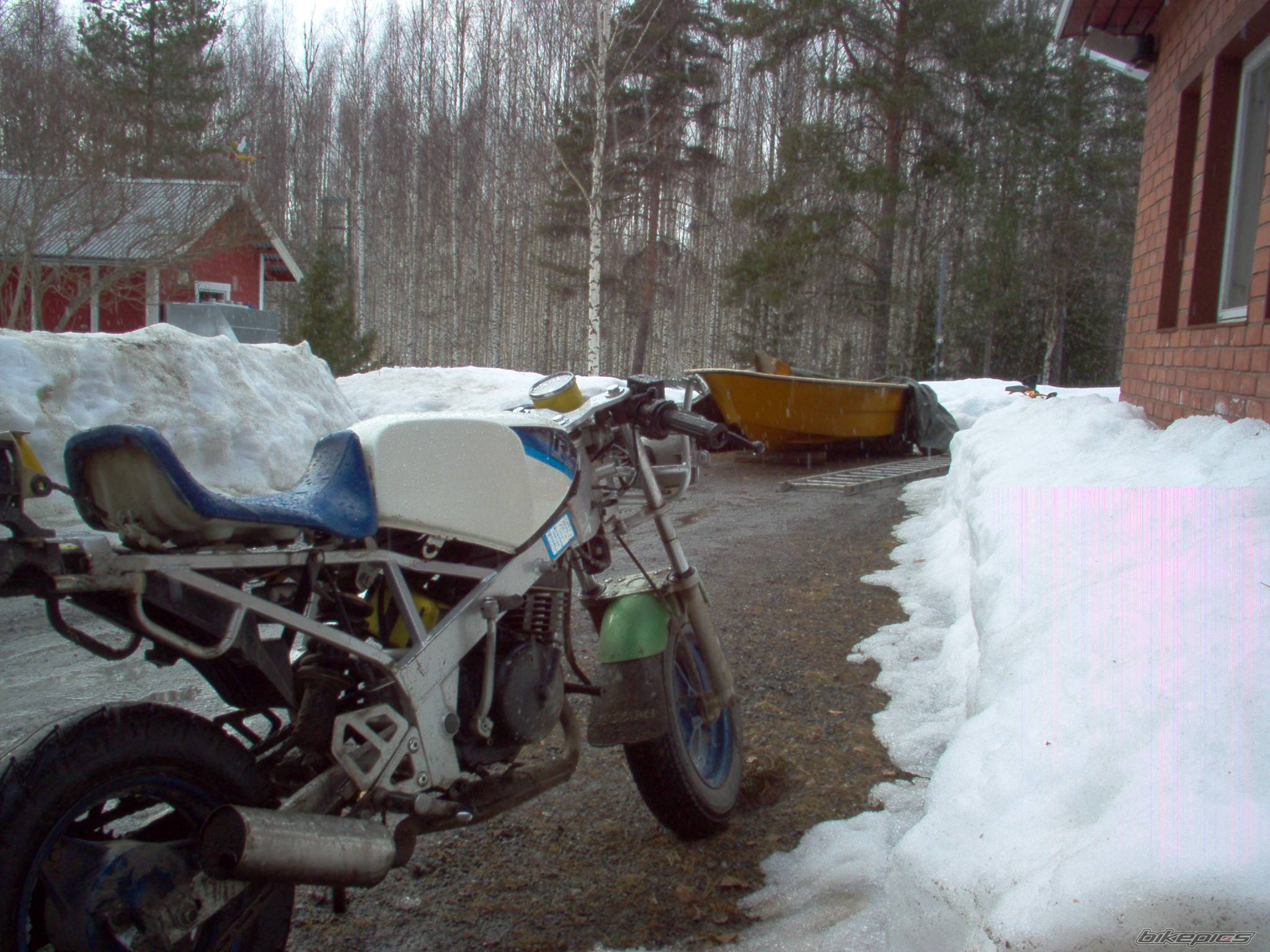 Photo 133797
