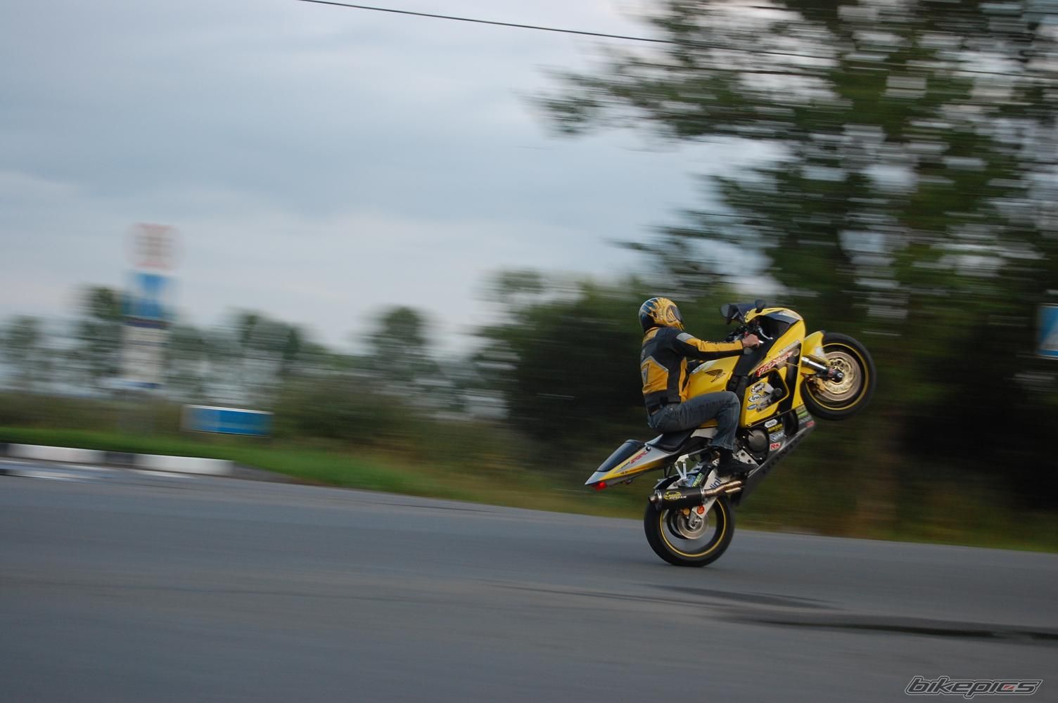 Photo 1337979