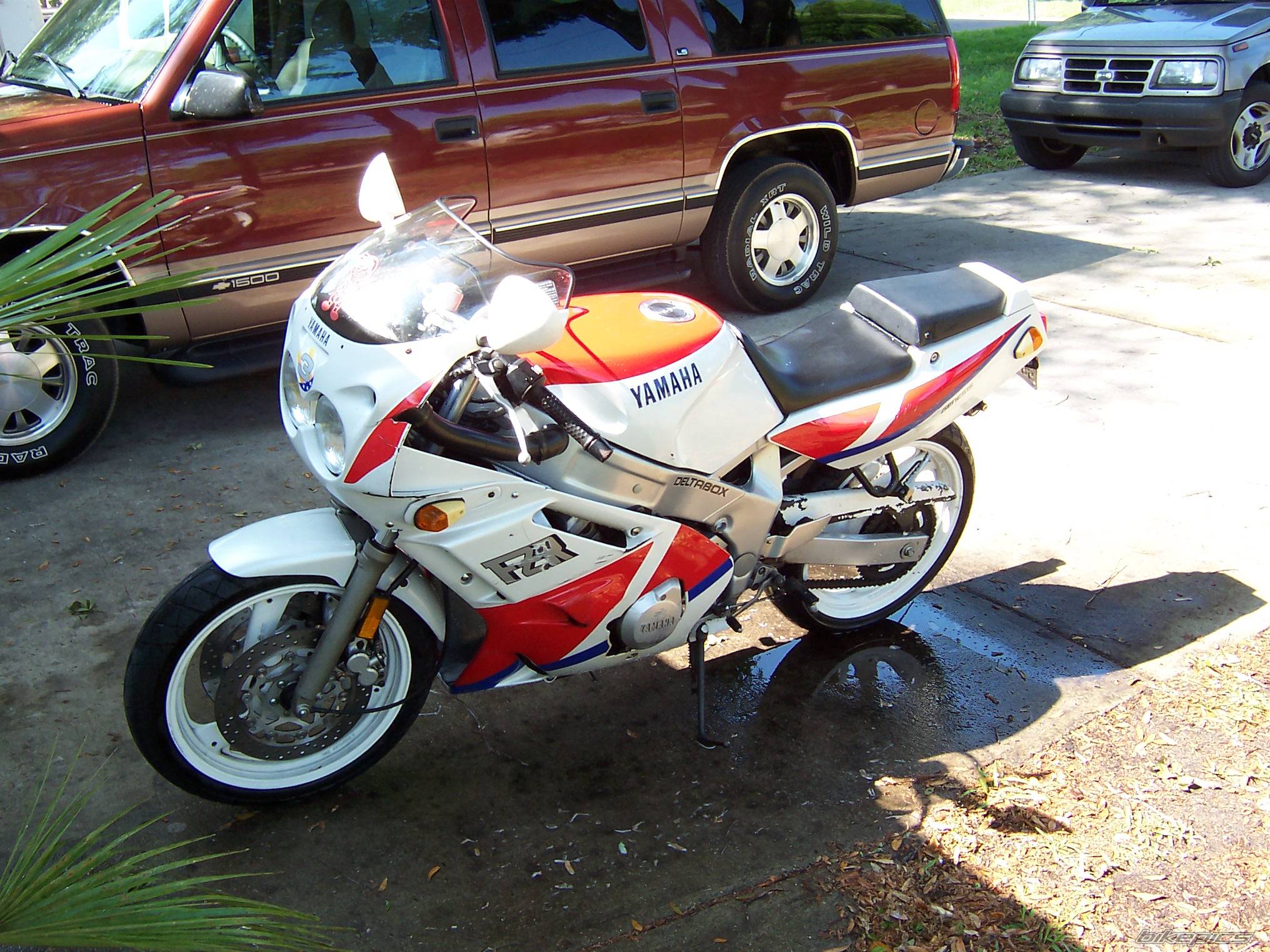 Photo 133798