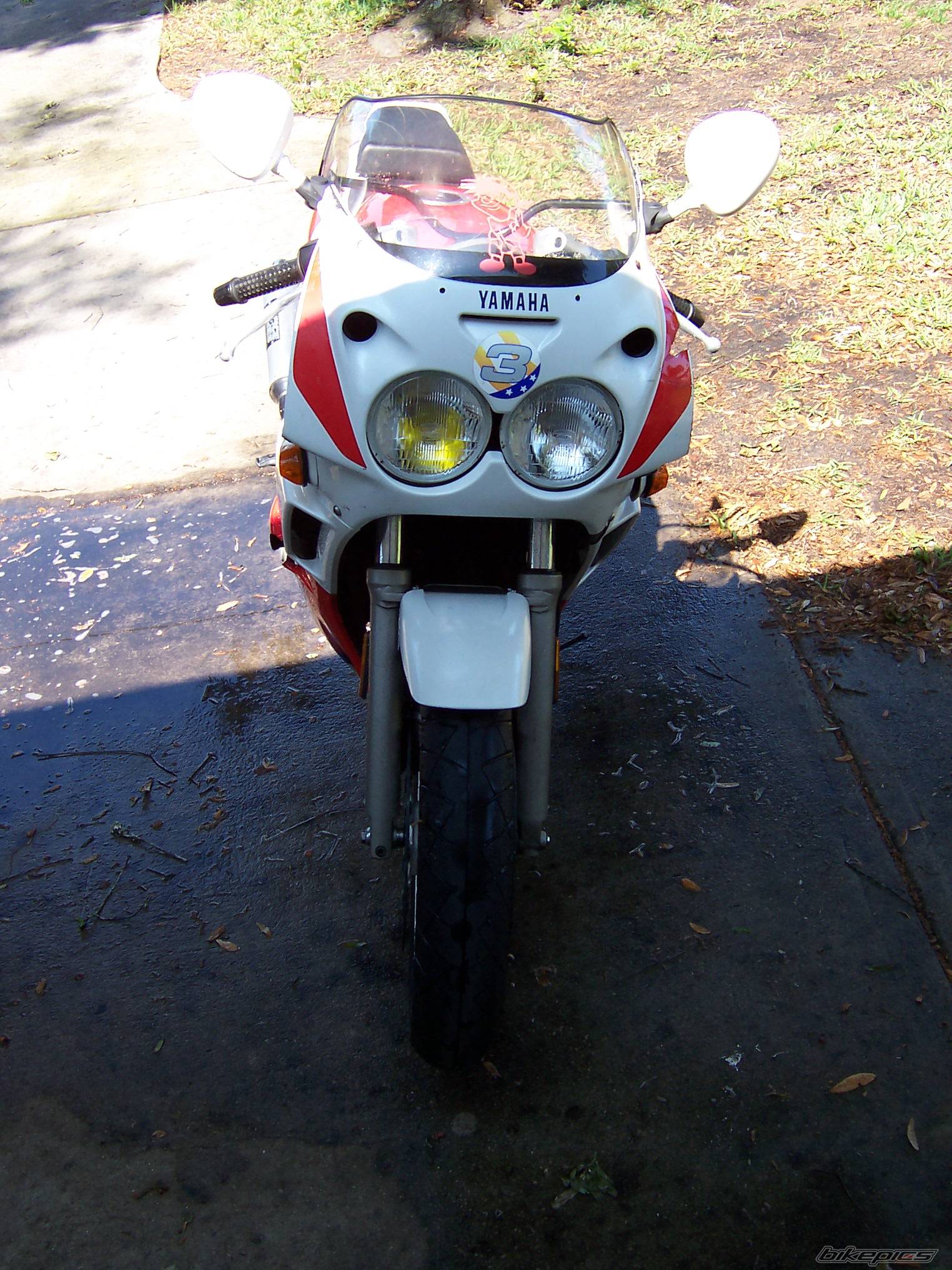 Photo 133799