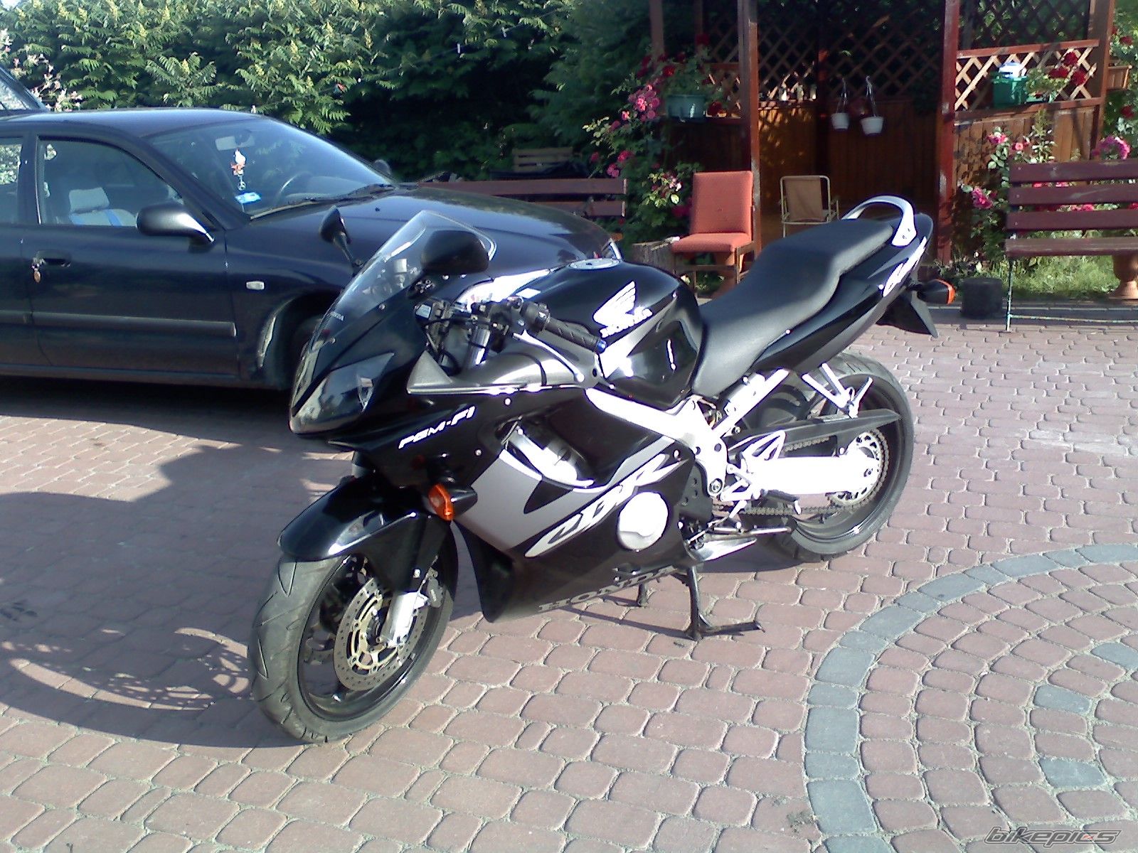 Photo 1338029