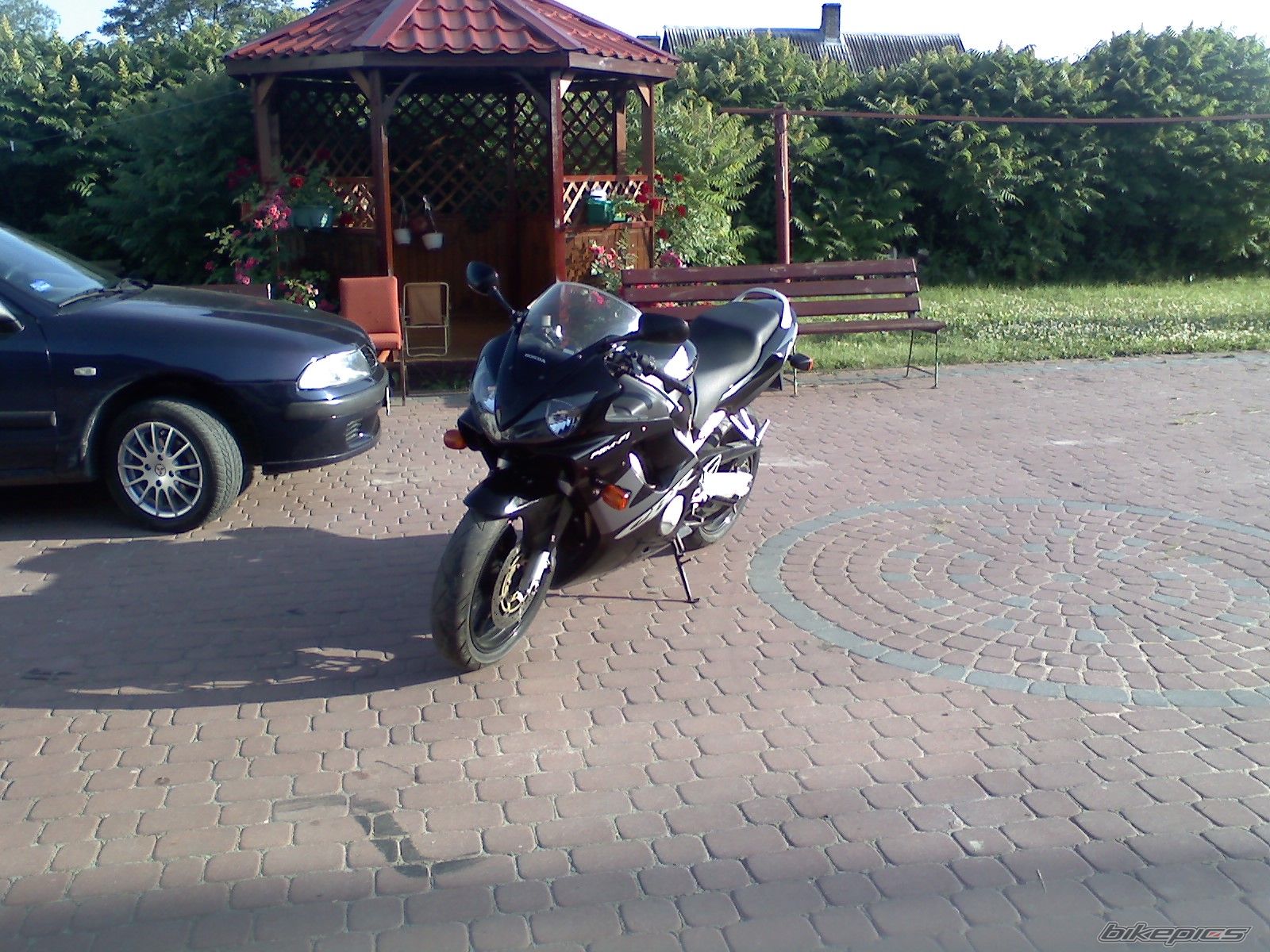 Photo 1338035