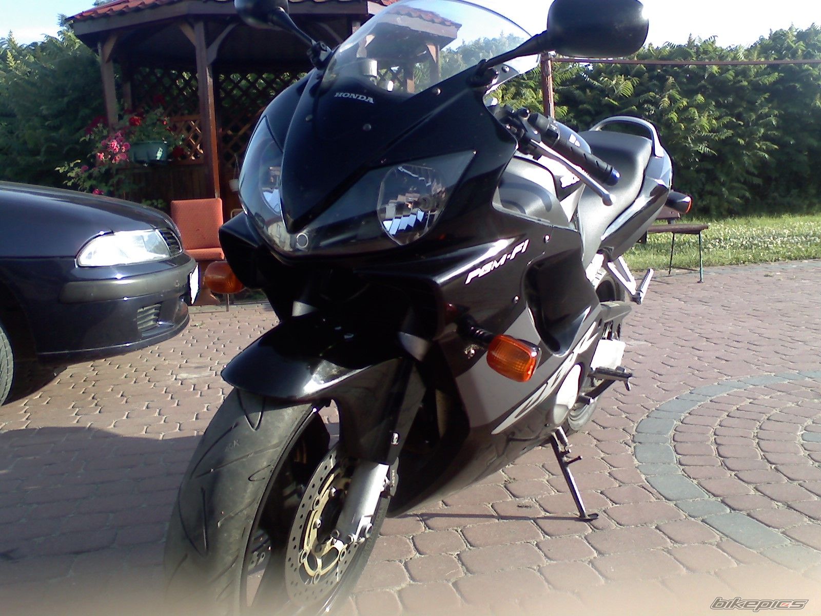 Photo 1338036