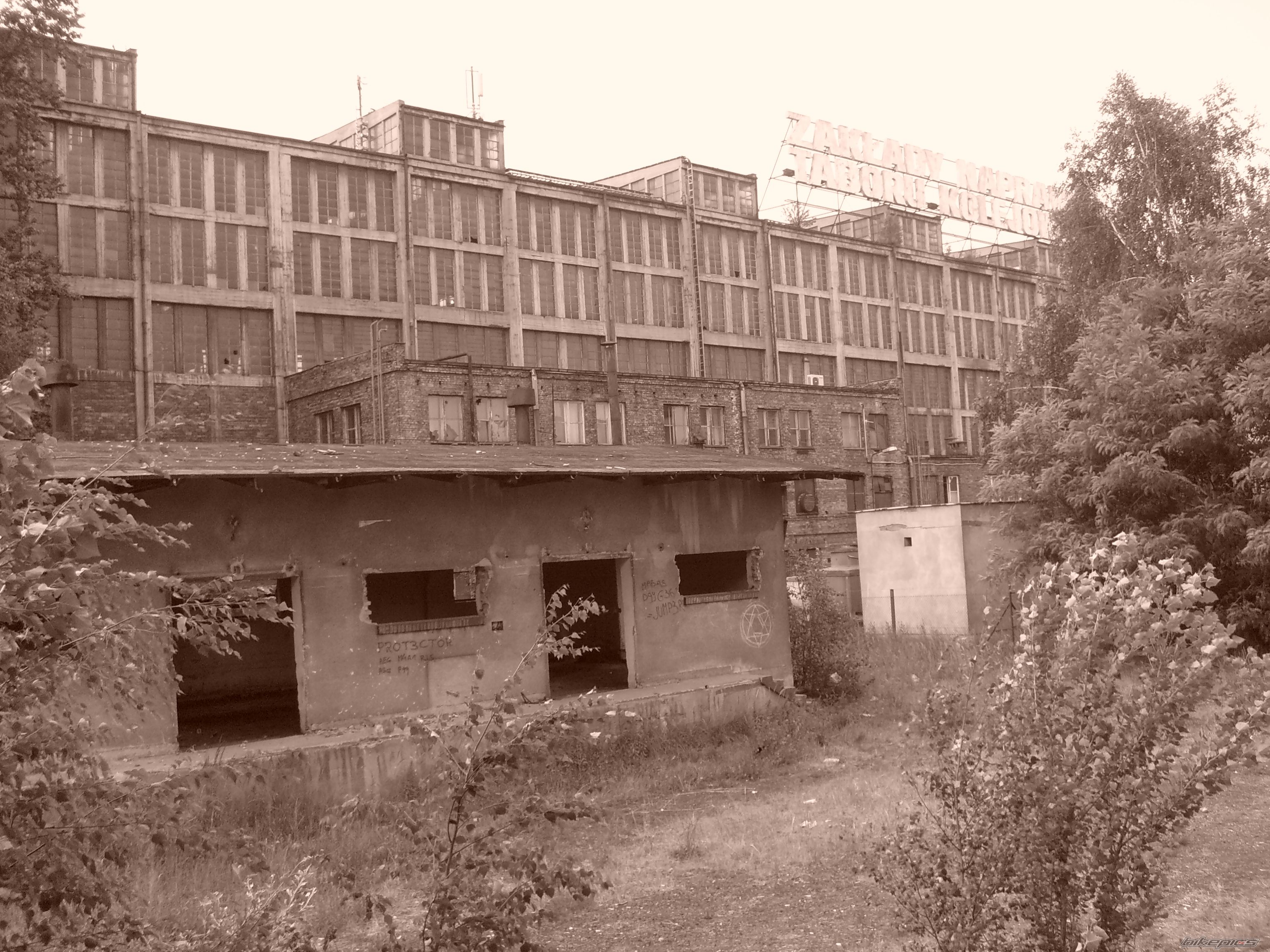Photo 1338081