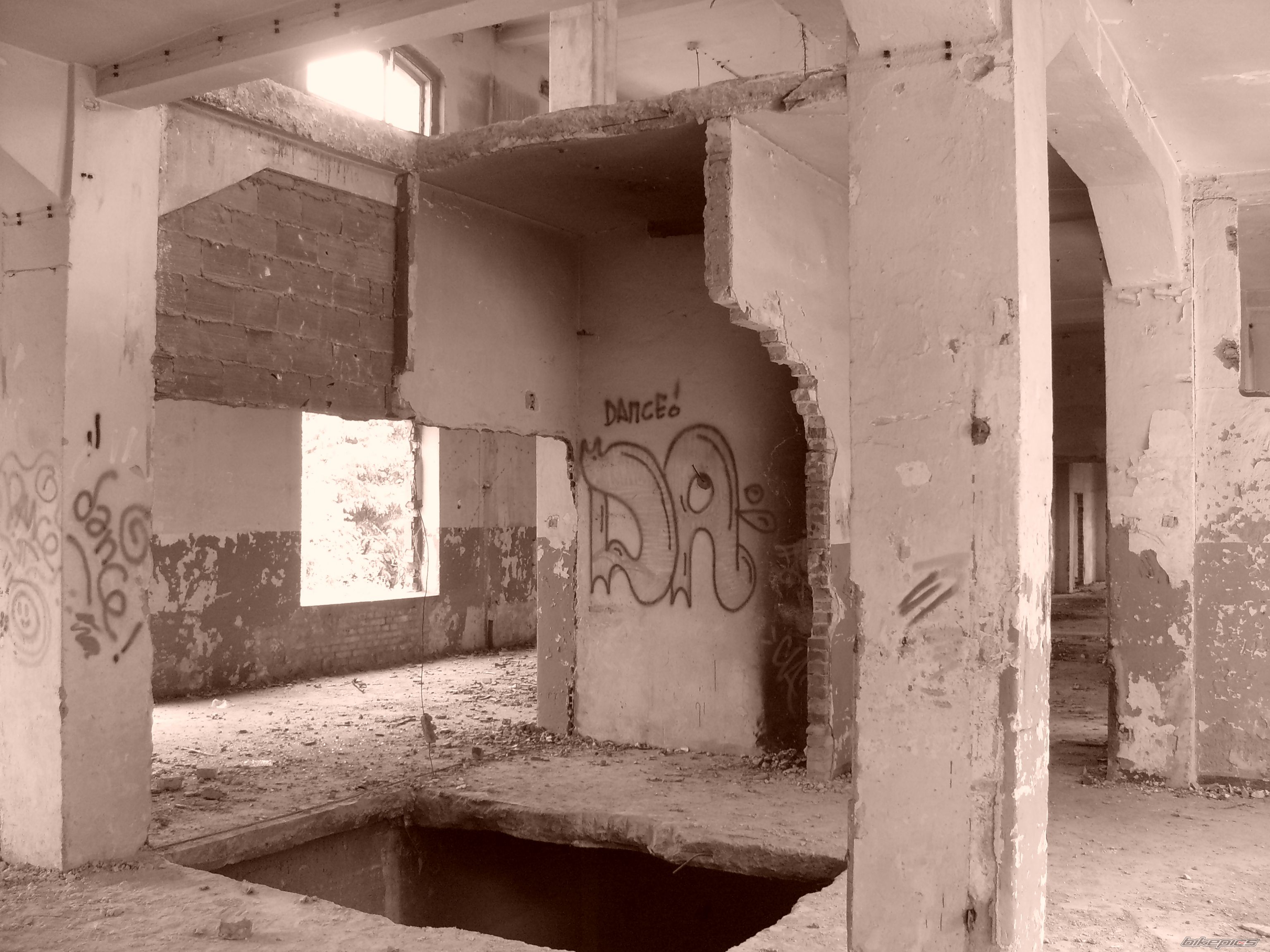 Photo 1338086
